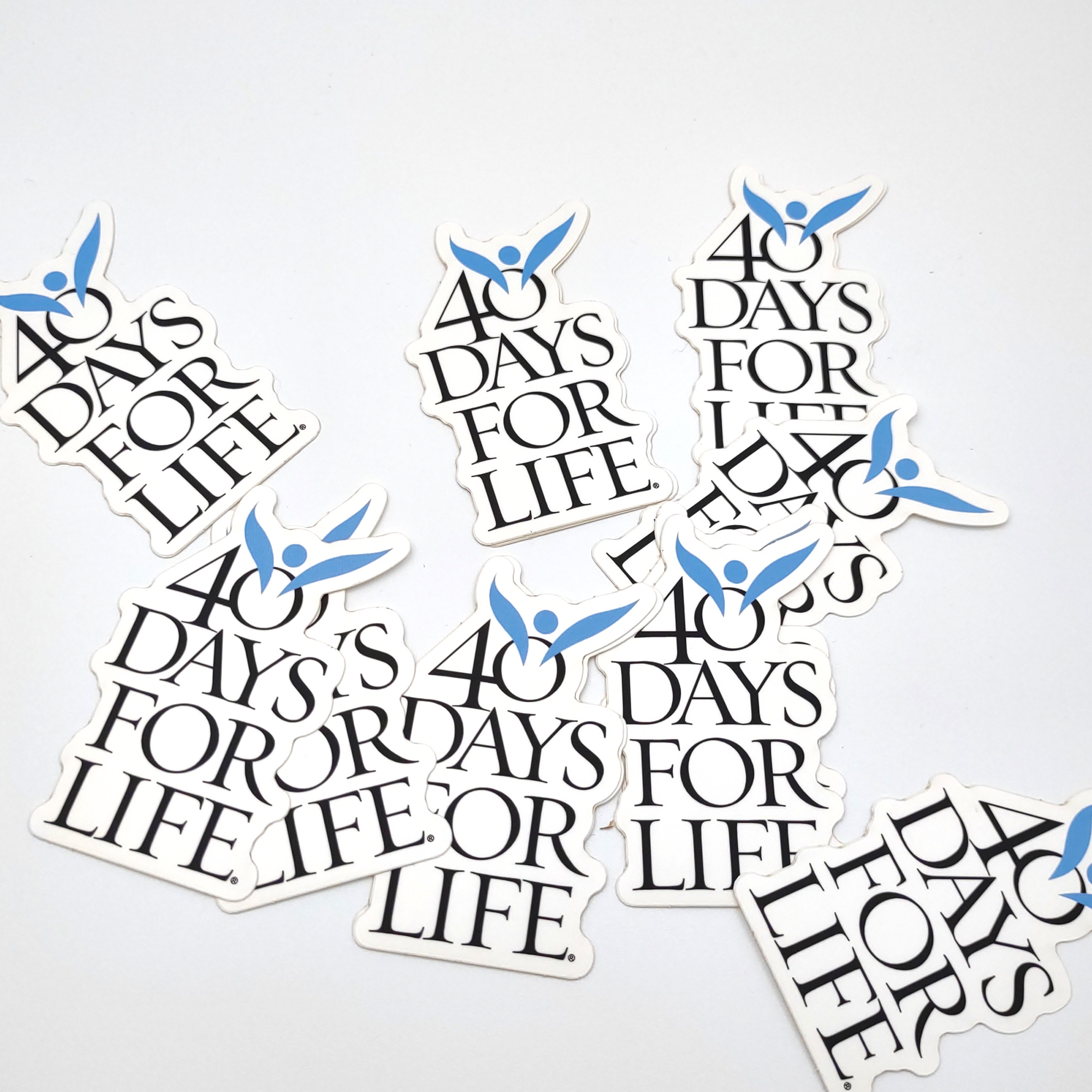 40DFL Logo Sticker
