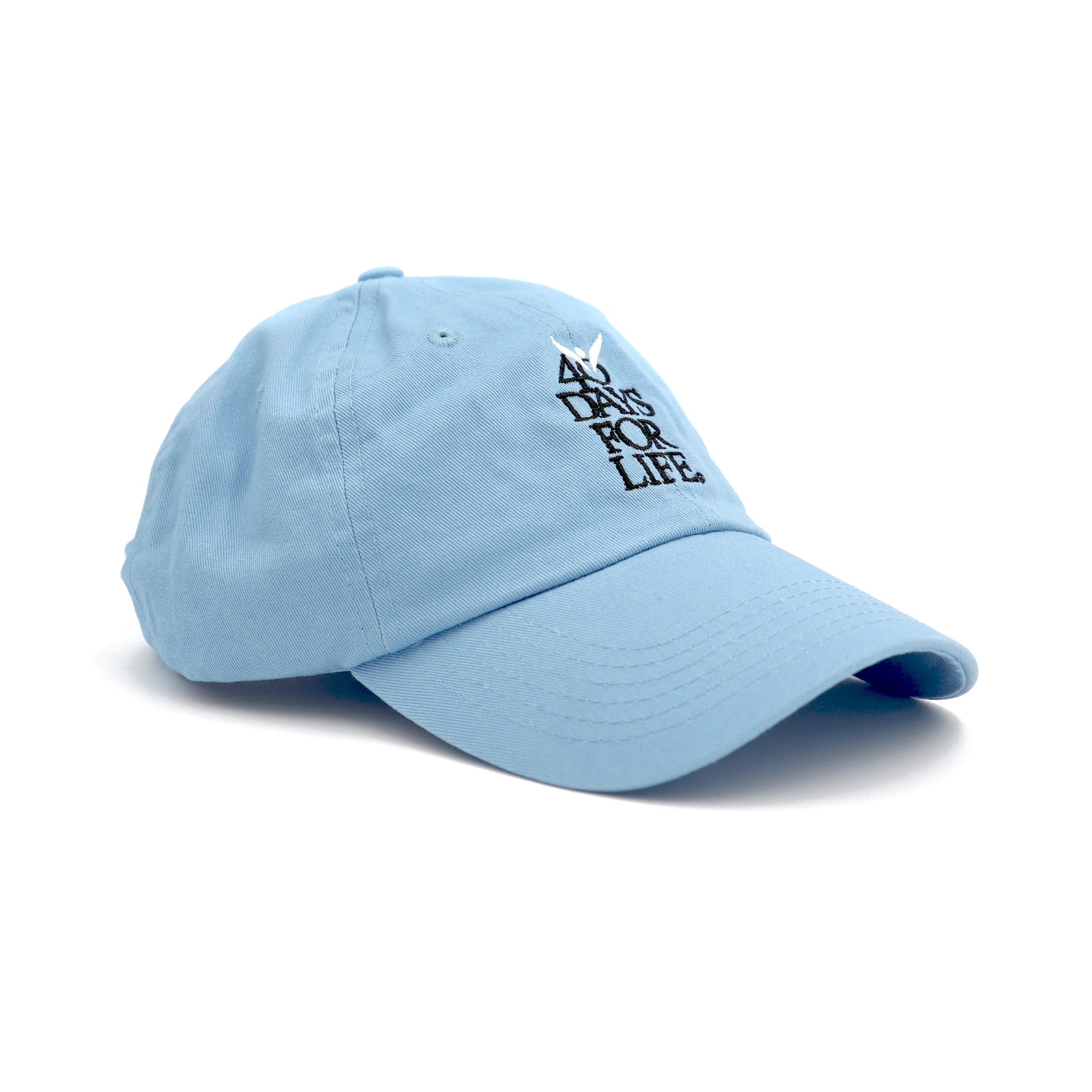 Blue Baseball Hat
