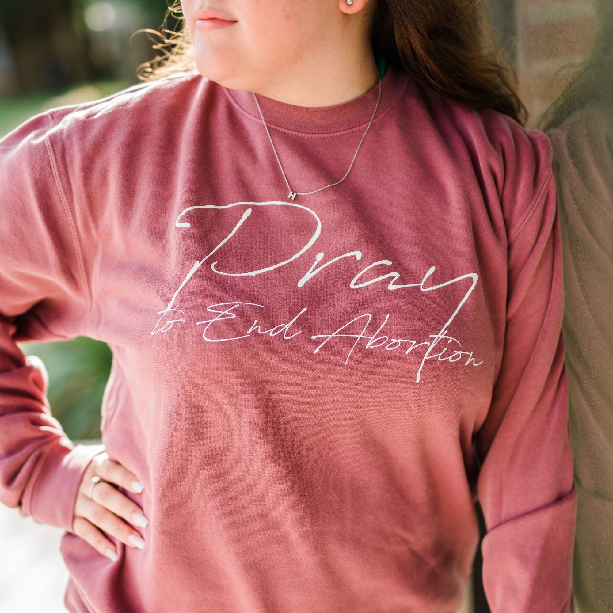 Pray to End Abortion Vintage Sweatshirt