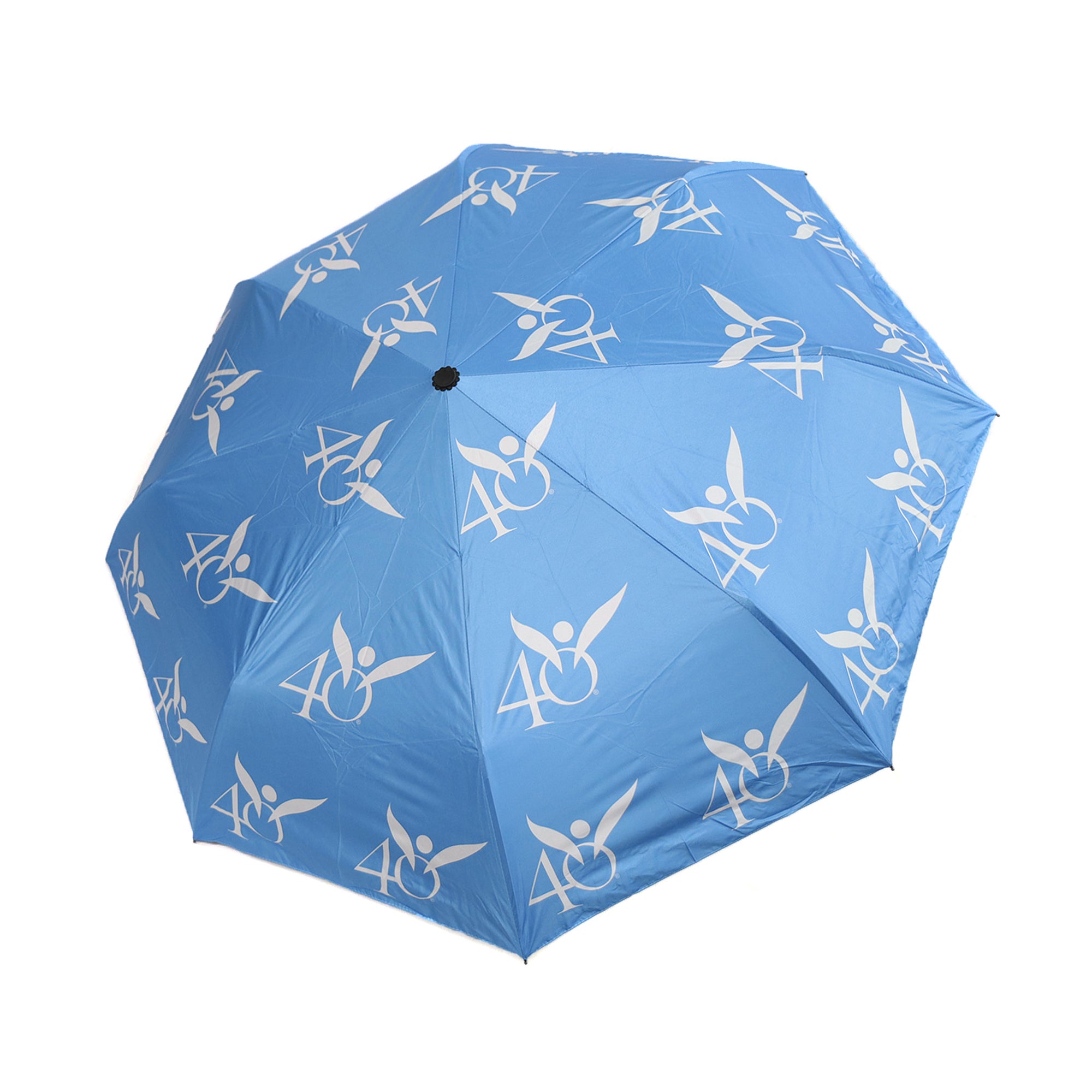 Compact Travel Umbrella