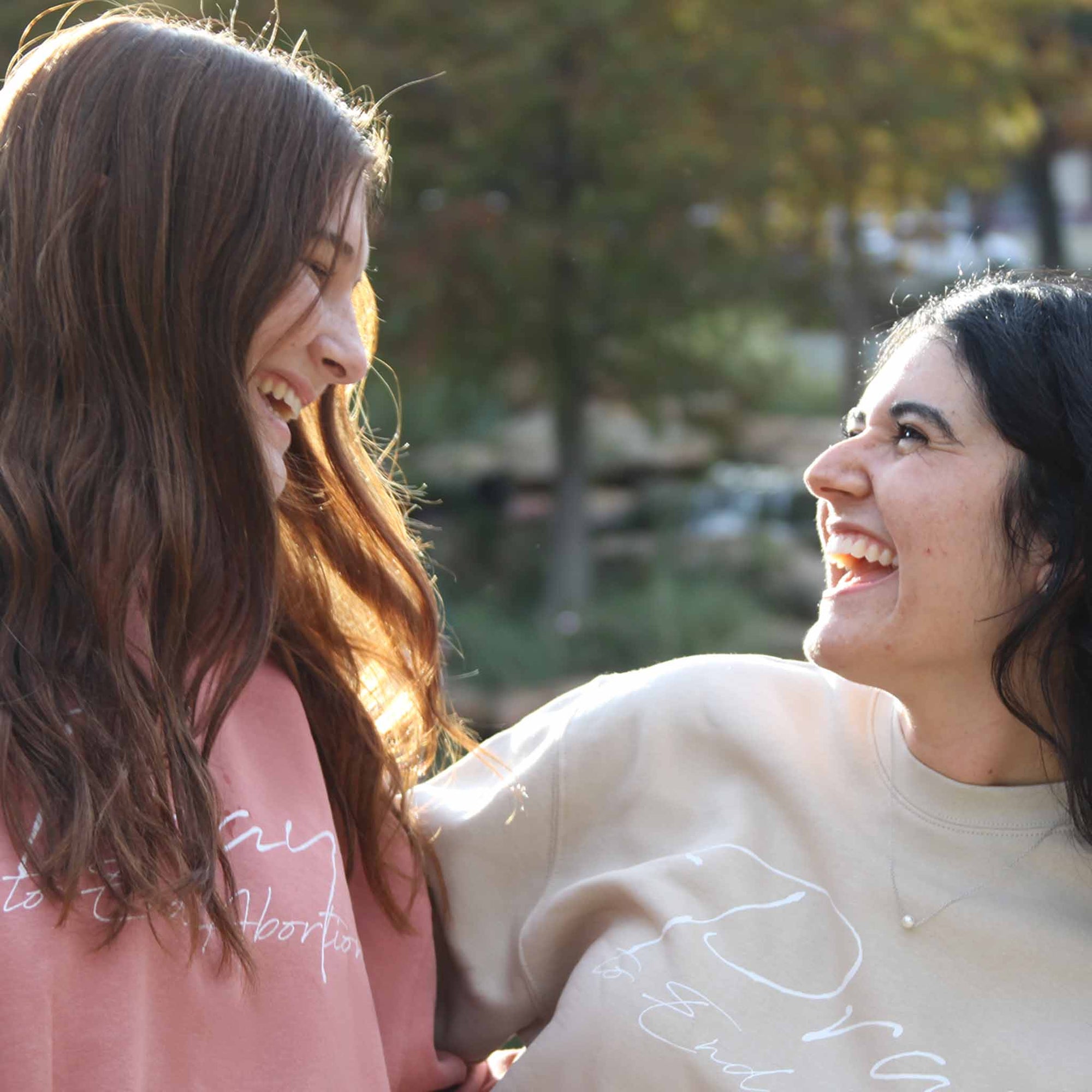 Pray to End Abortion Premium Sweatshirt