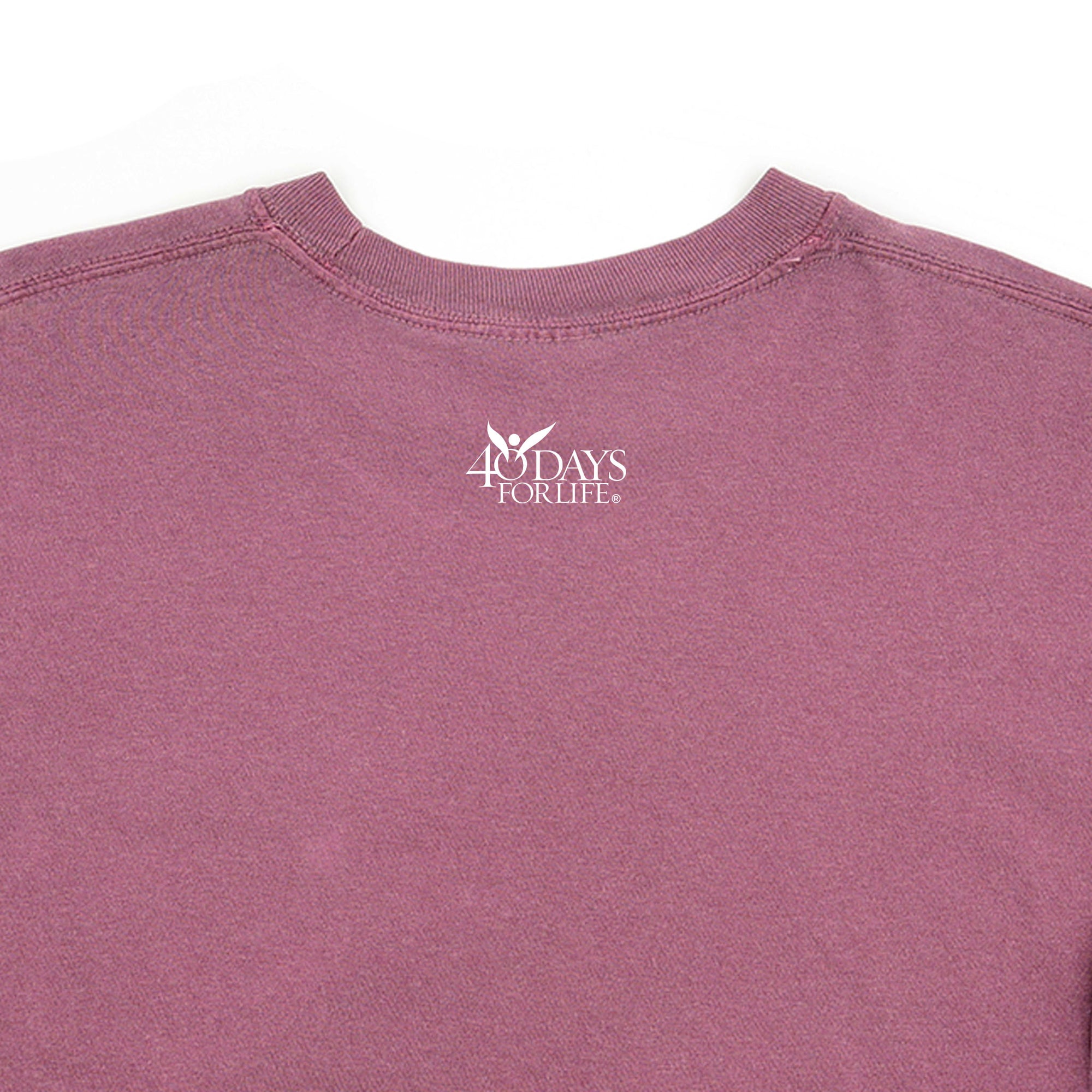 Pray to End Abortion Comfort Colors® T-Shirt