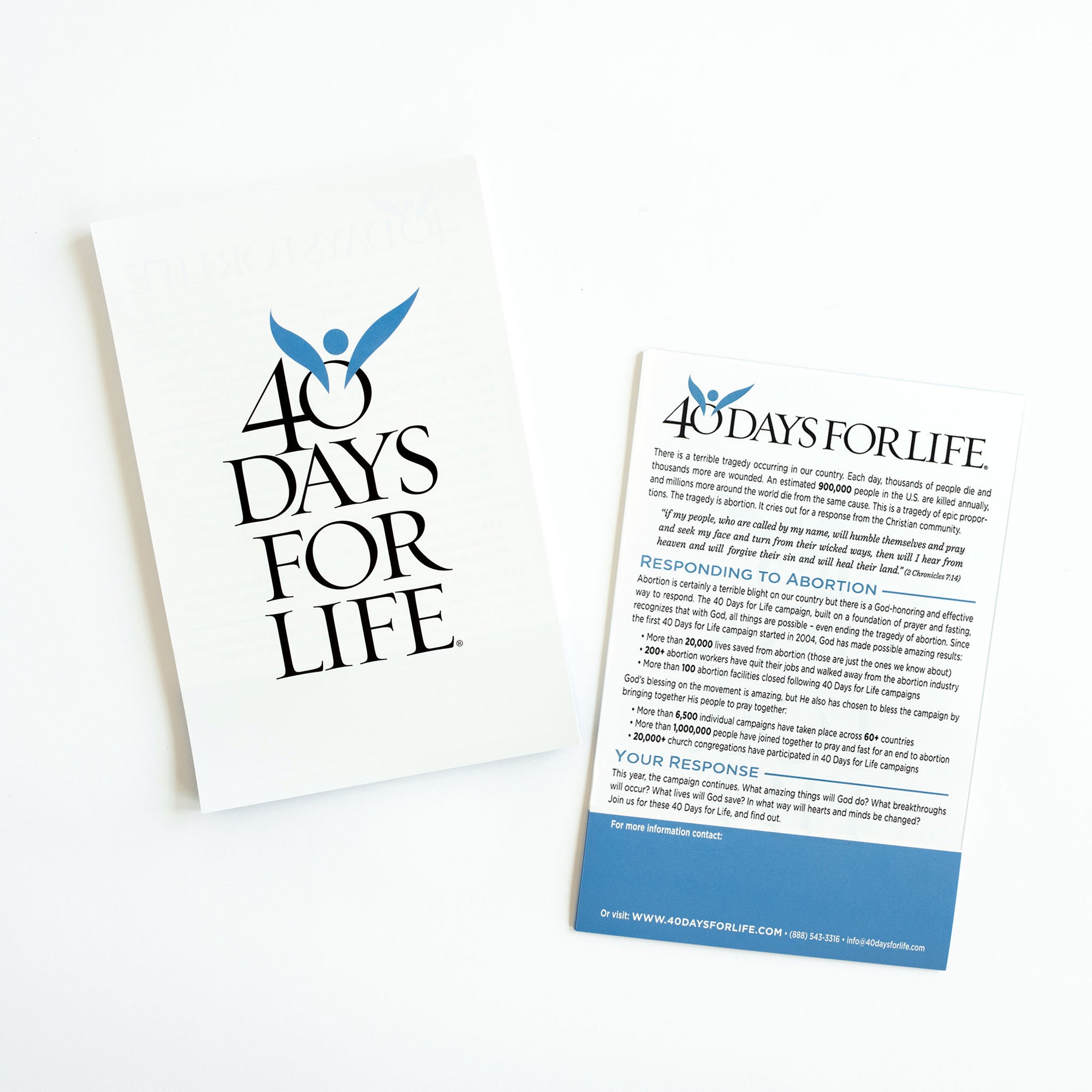 Promotional Flyers (Pack of 100)