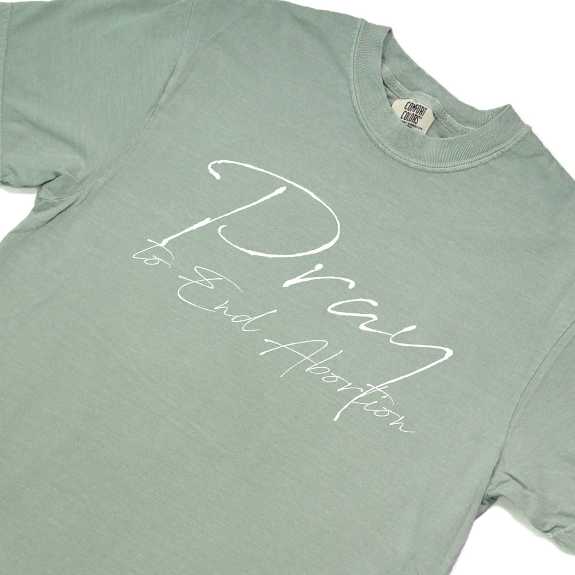 Pray to End Abortion Comfort Colors® T-Shirt