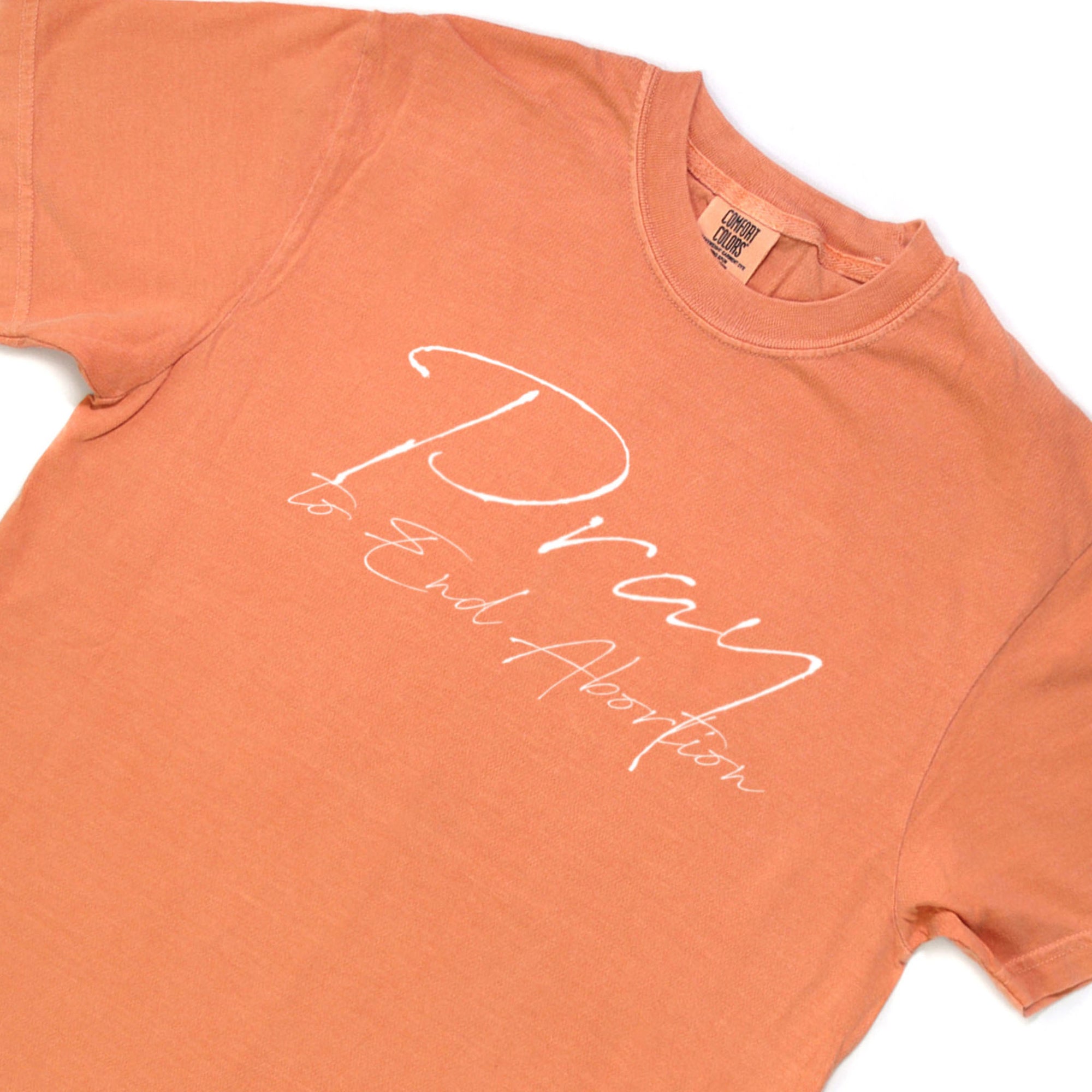 Pray to End Abortion Comfort Colors® T-Shirt