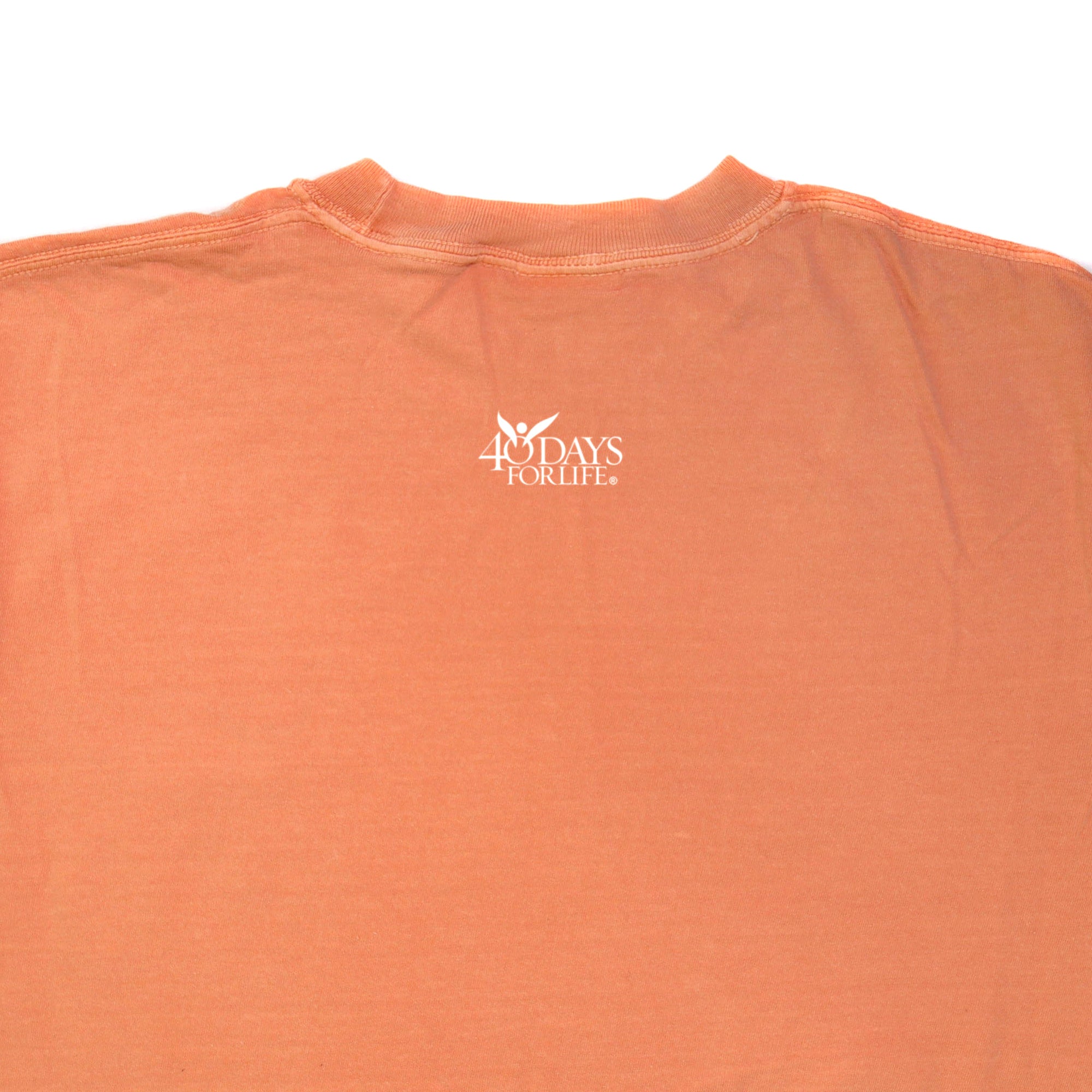 Pray to End Abortion Comfort Colors® T-Shirt