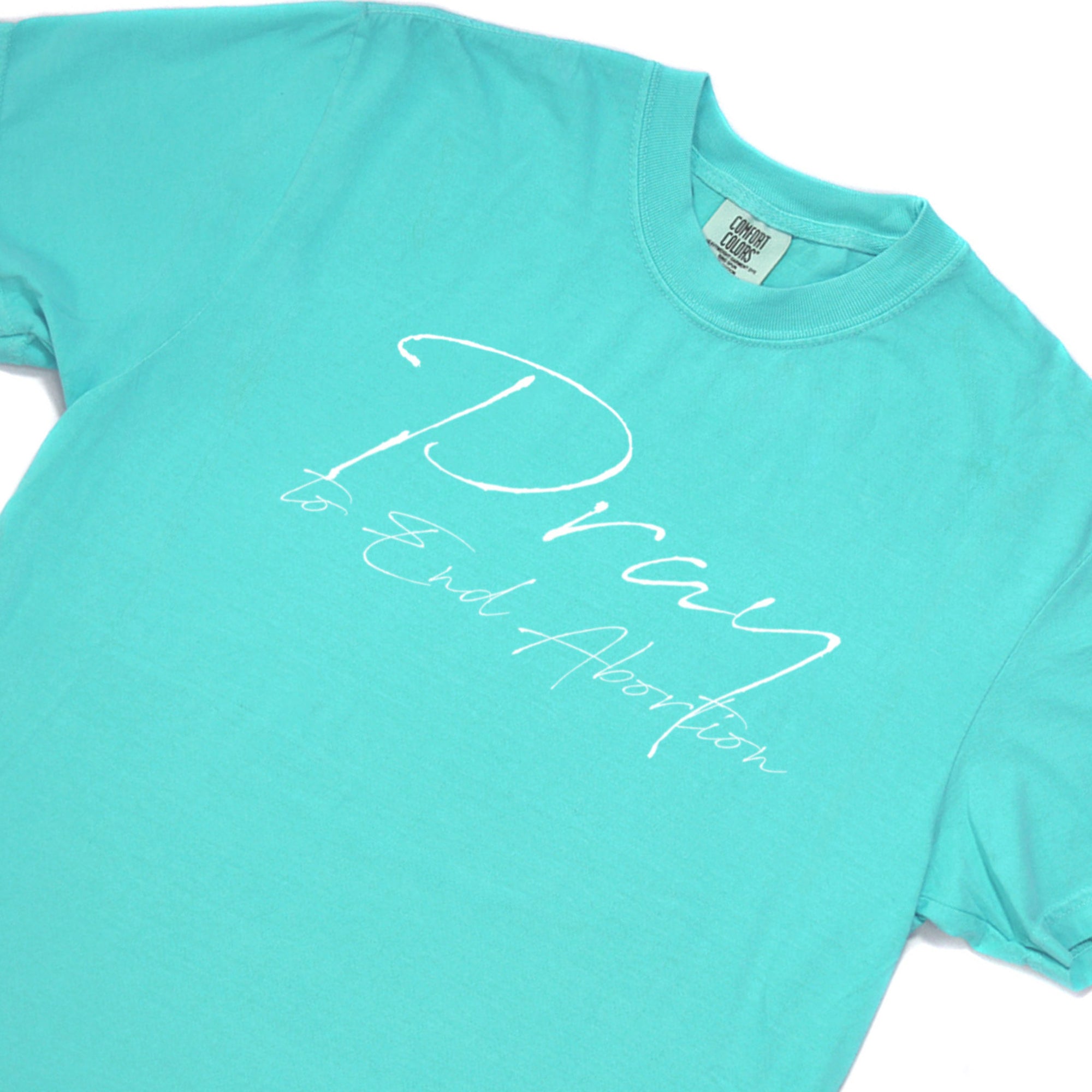 Pray to End Abortion Comfort Colors® T-Shirt