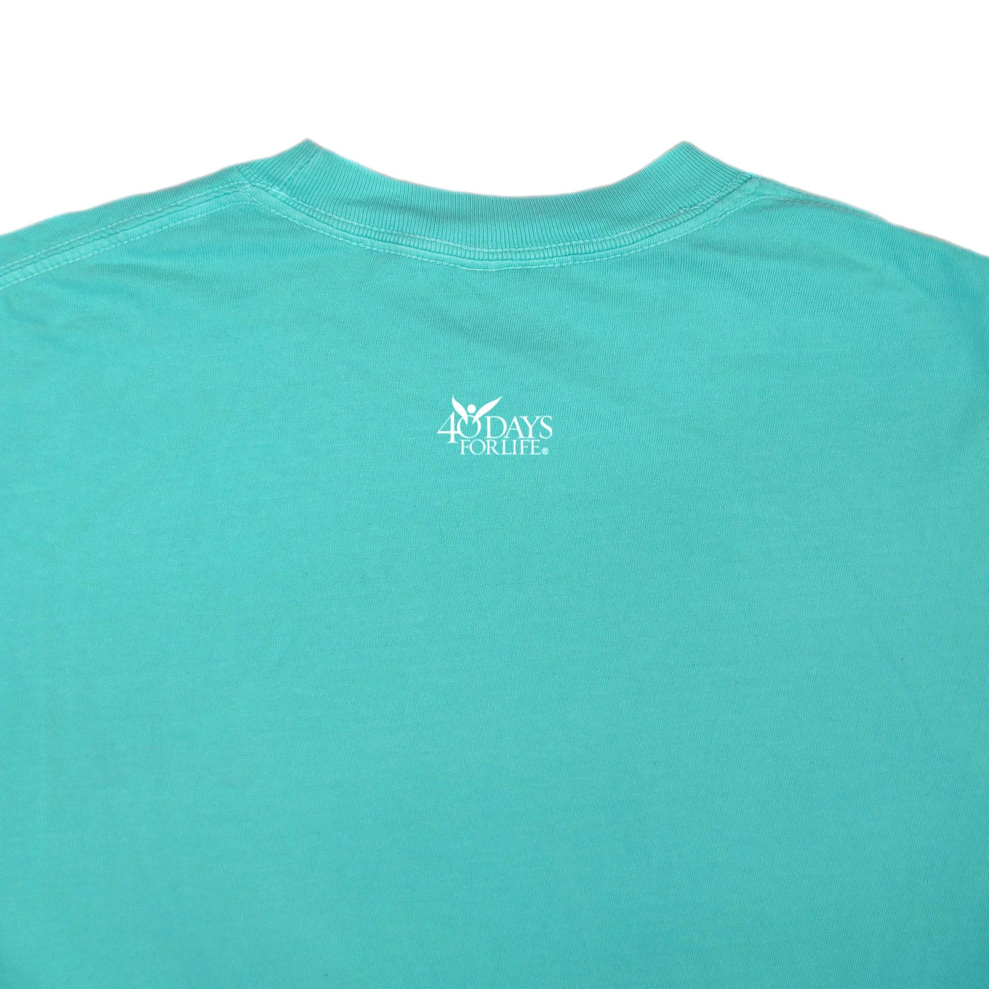 Pray to End Abortion Comfort Colors® T-Shirt