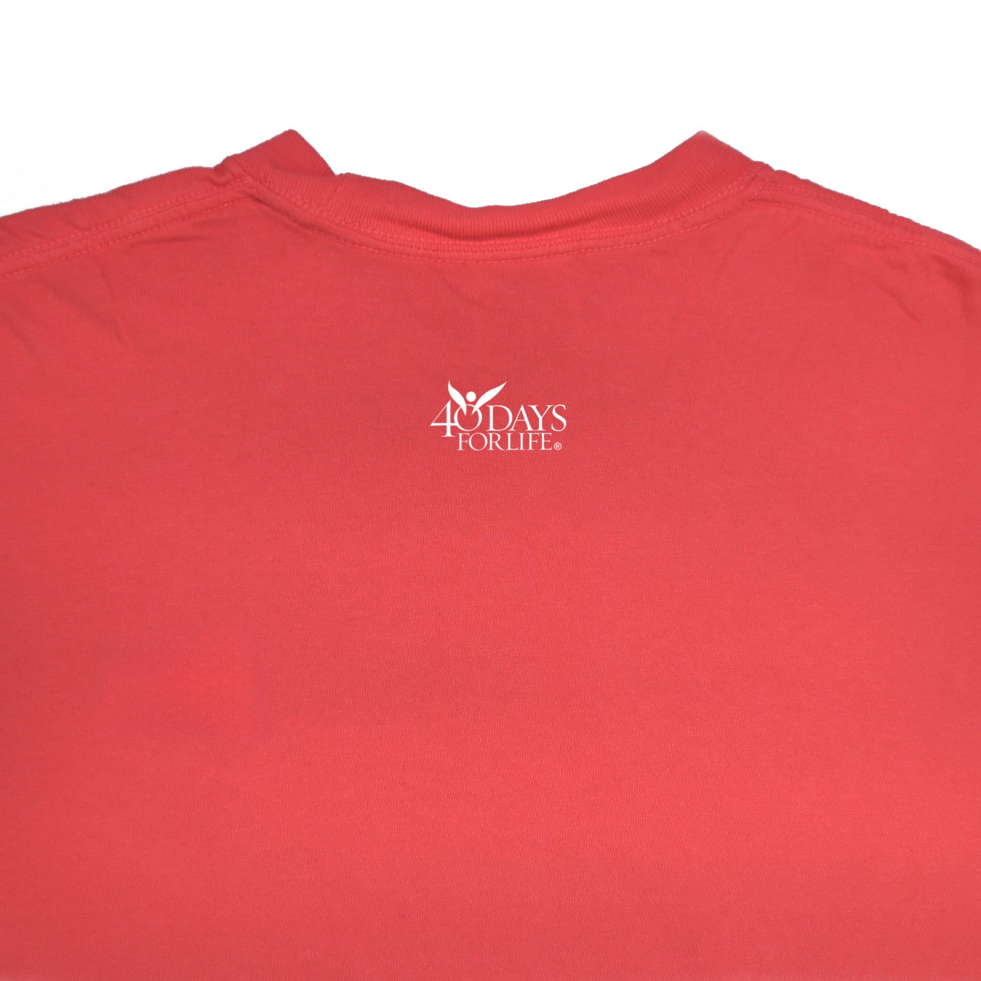 Pray to End Abortion Comfort Colors® T-Shirt