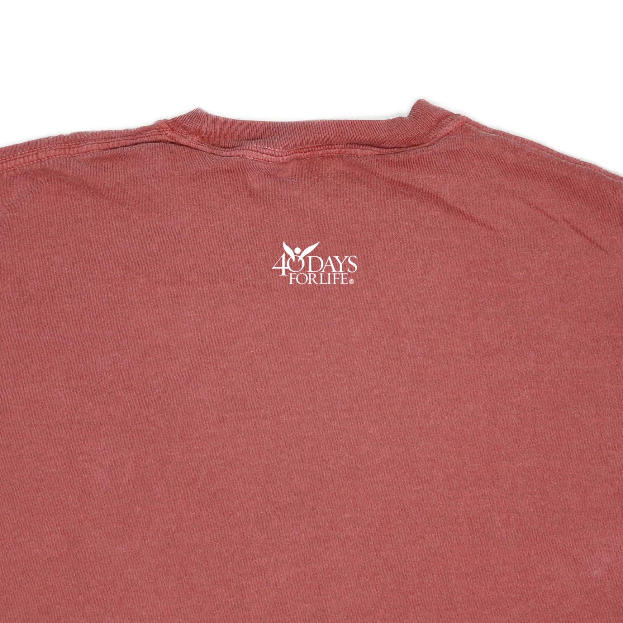 Pray to End Abortion Comfort Colors® T-Shirt