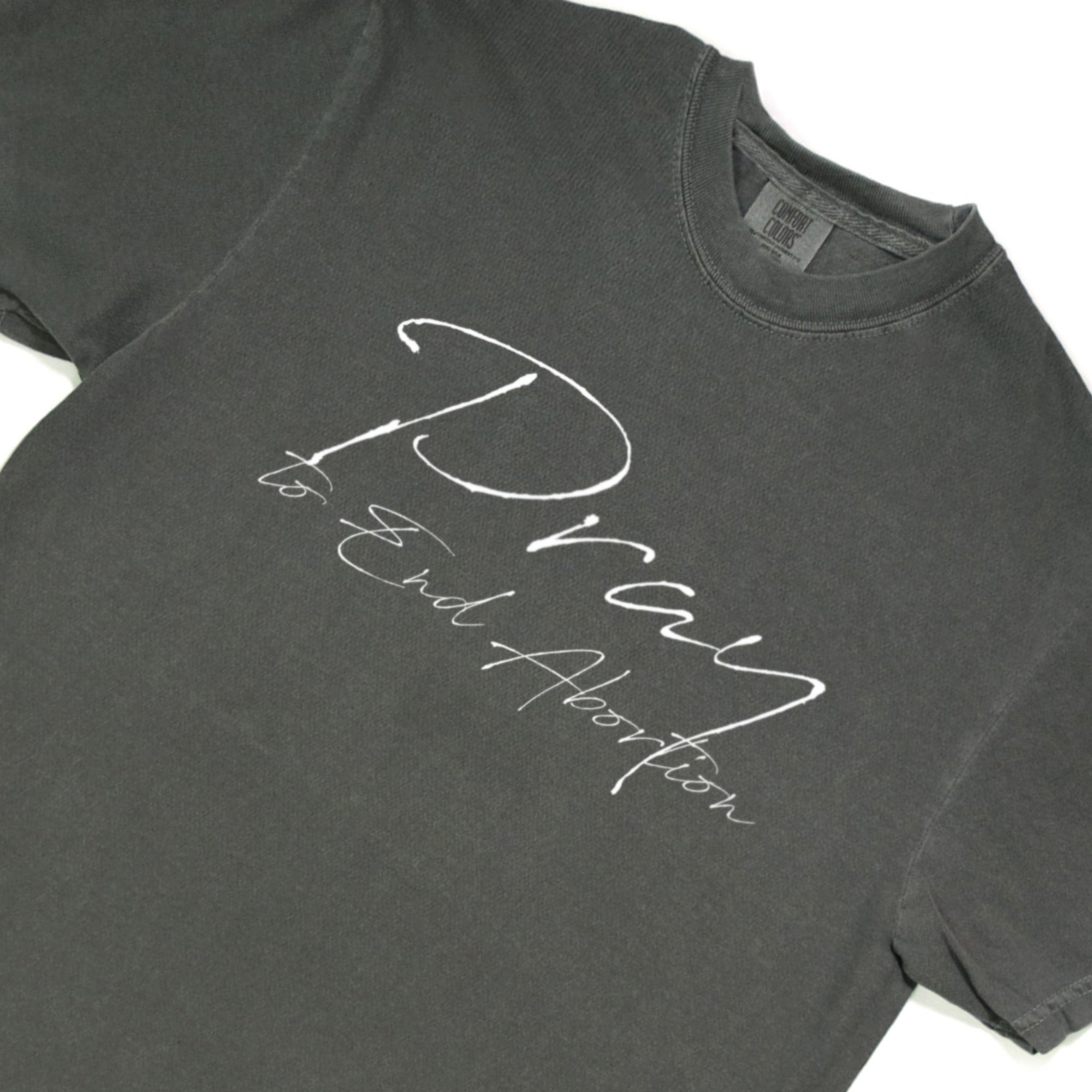 Pray to End Abortion Comfort Colors® T-Shirt