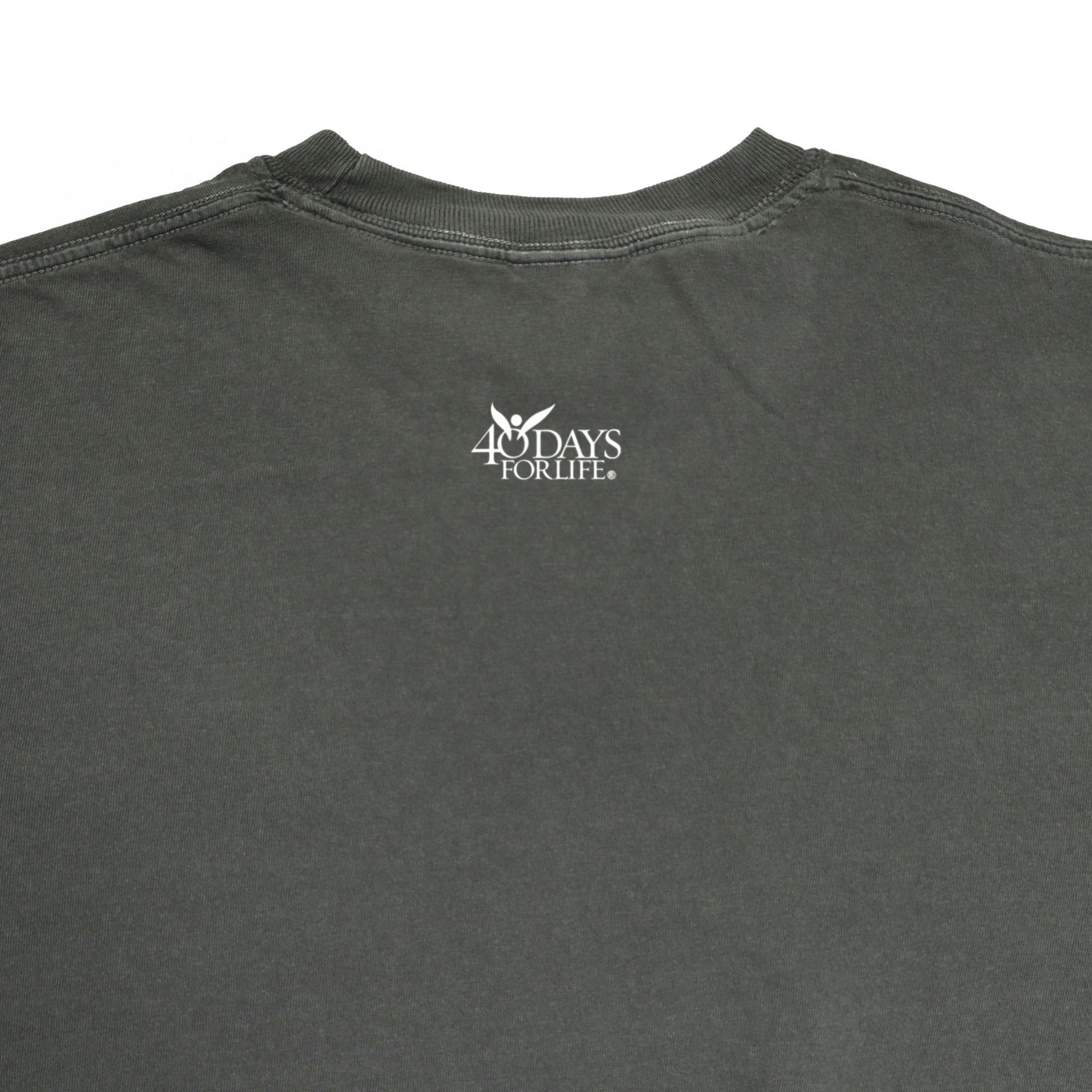 Pray to End Abortion Comfort Colors® T-Shirt