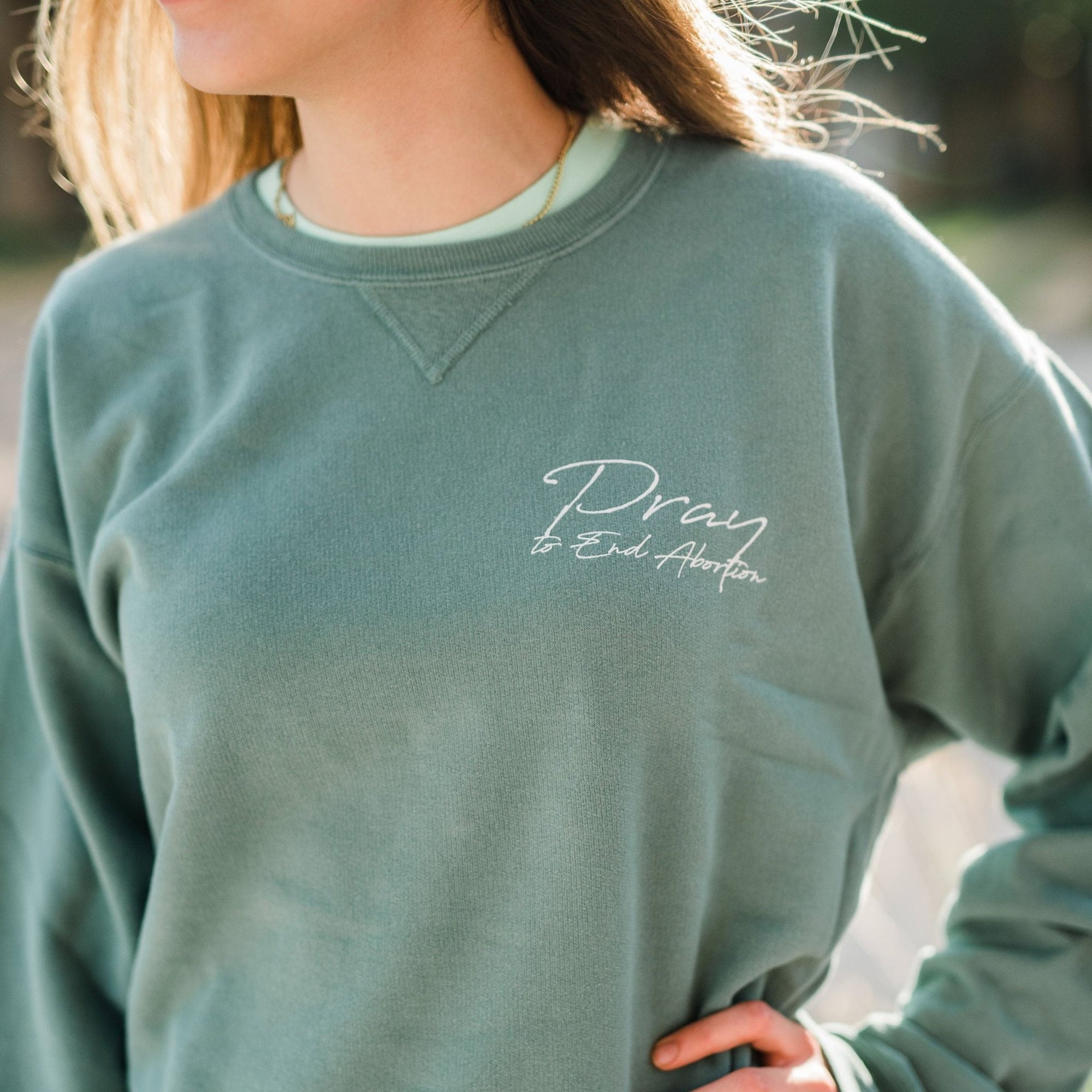 Pray to End Abortion Vintage Sweatshirt