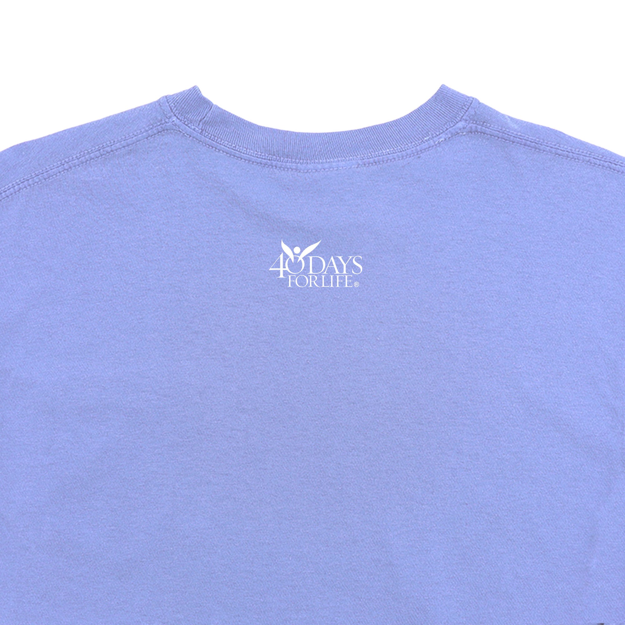 Pray to End Abortion Comfort Colors® T-Shirt