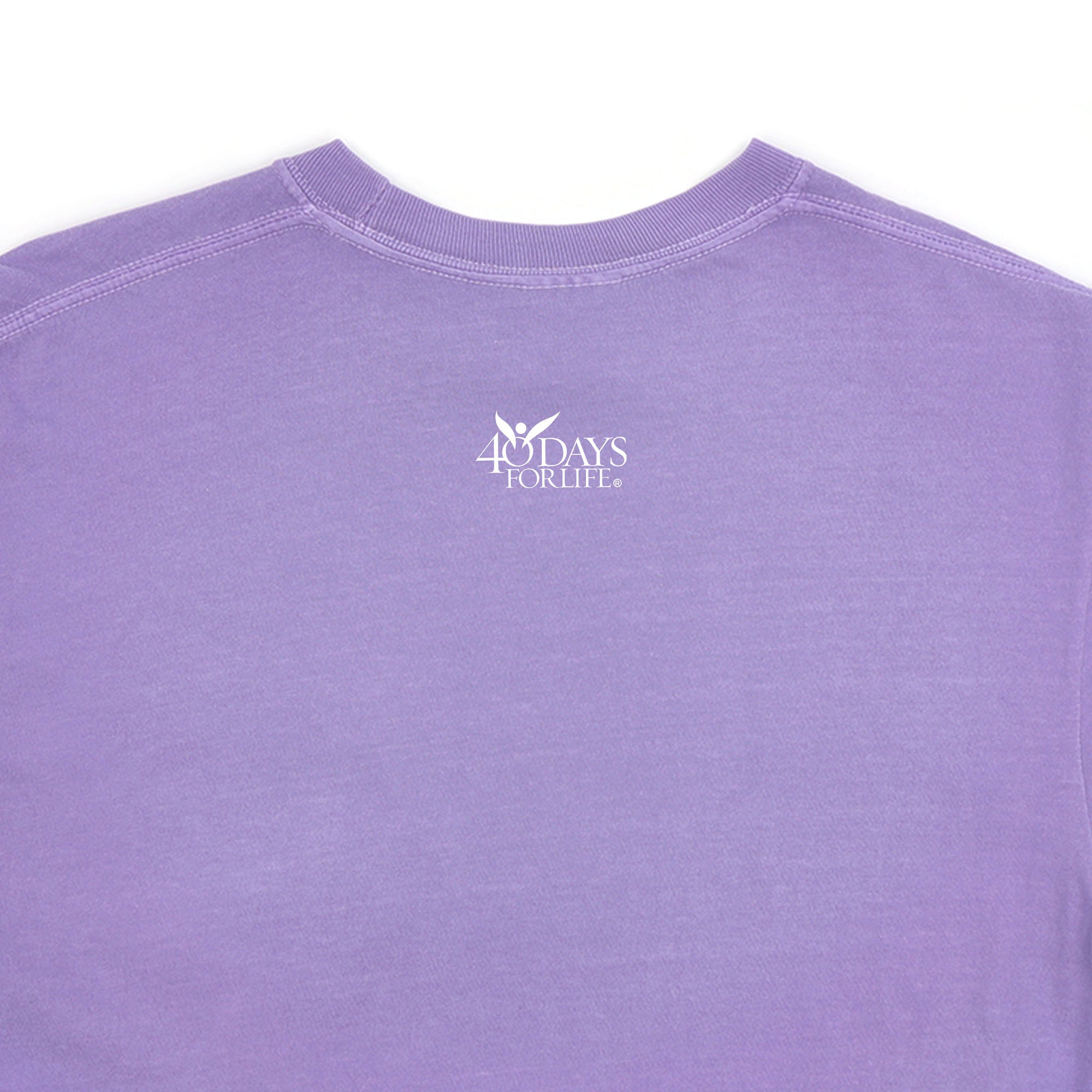 Pray to End Abortion Comfort Colors® T-Shirt