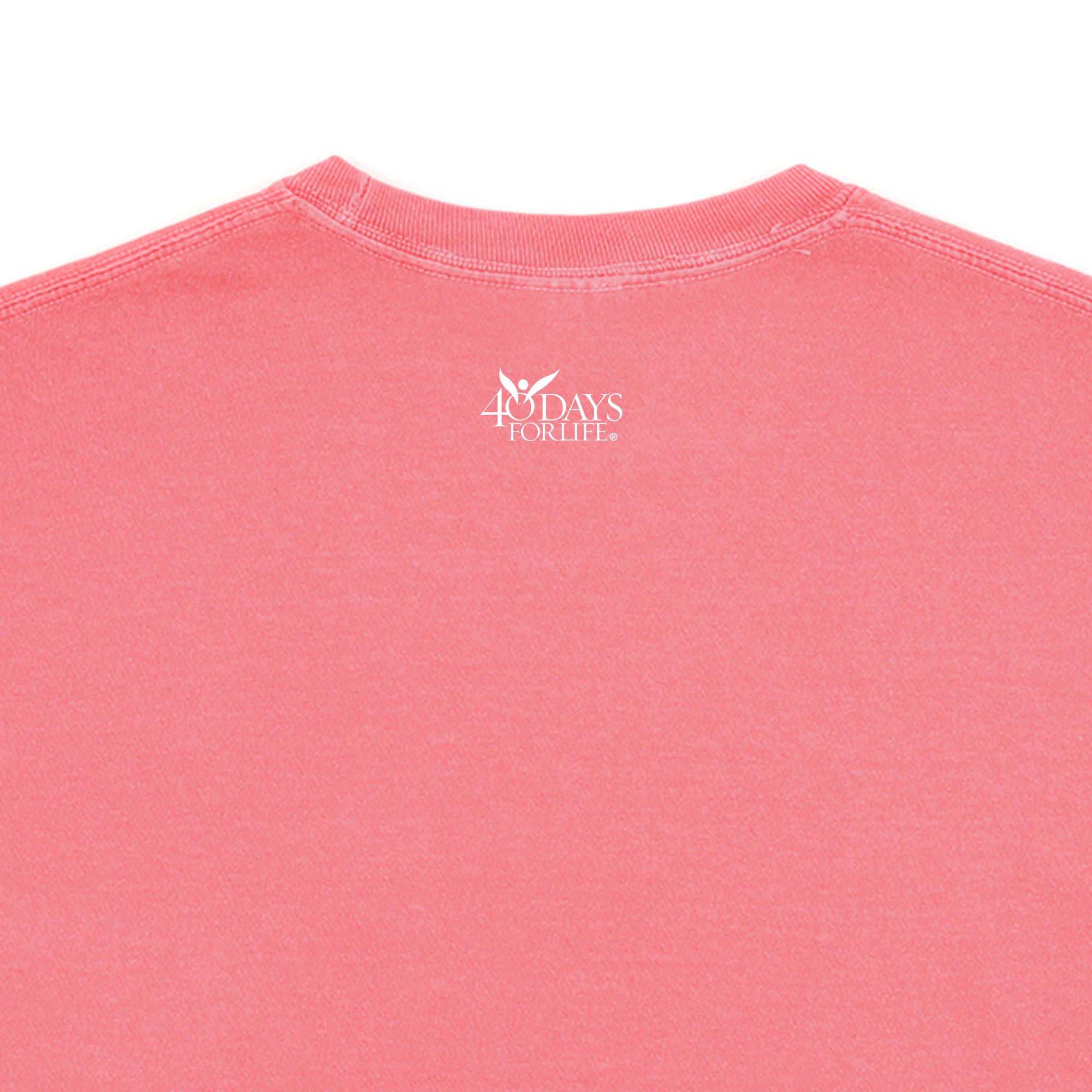 Pray to End Abortion Comfort Colors® T-Shirt