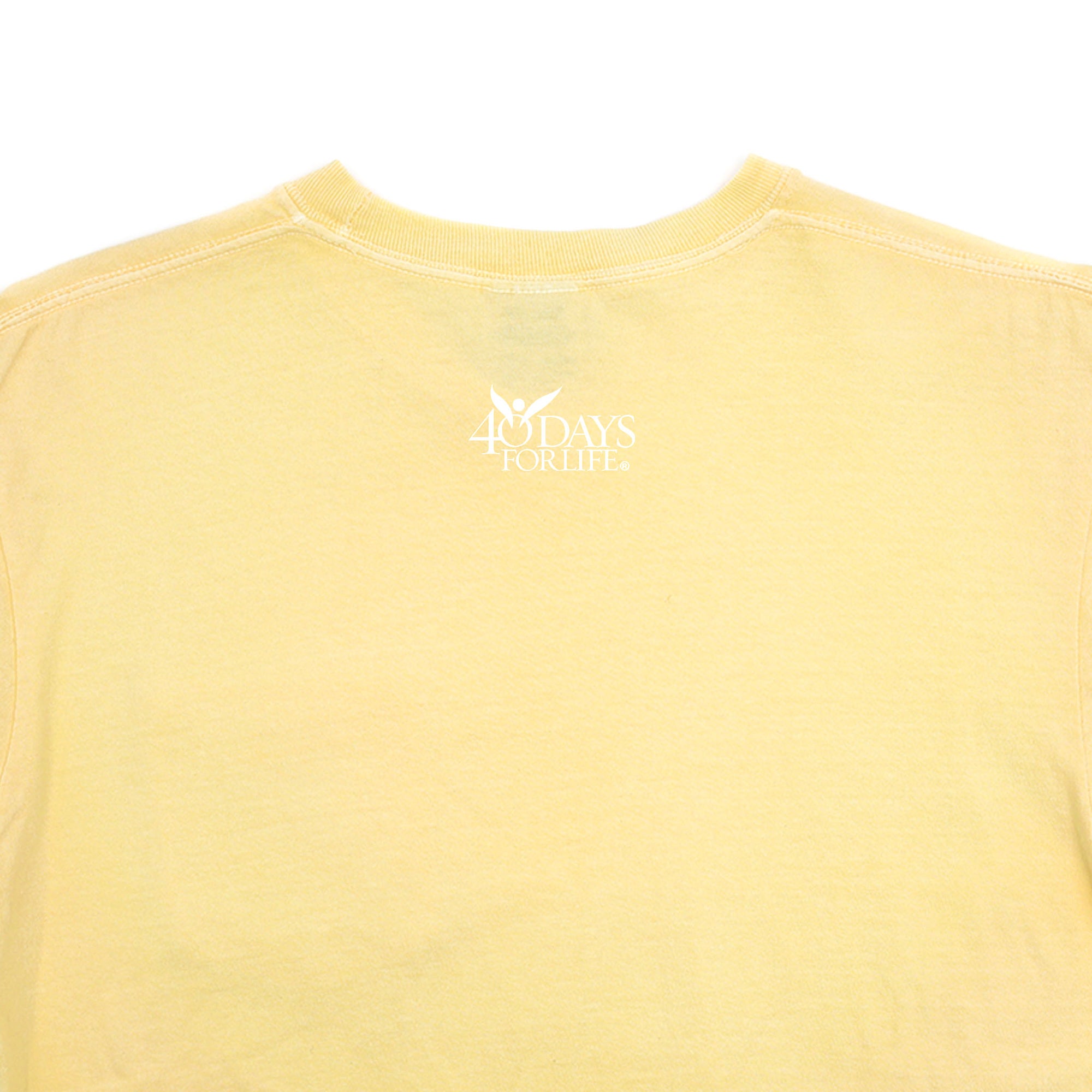 Pray to End Abortion Comfort Colors® T-Shirt