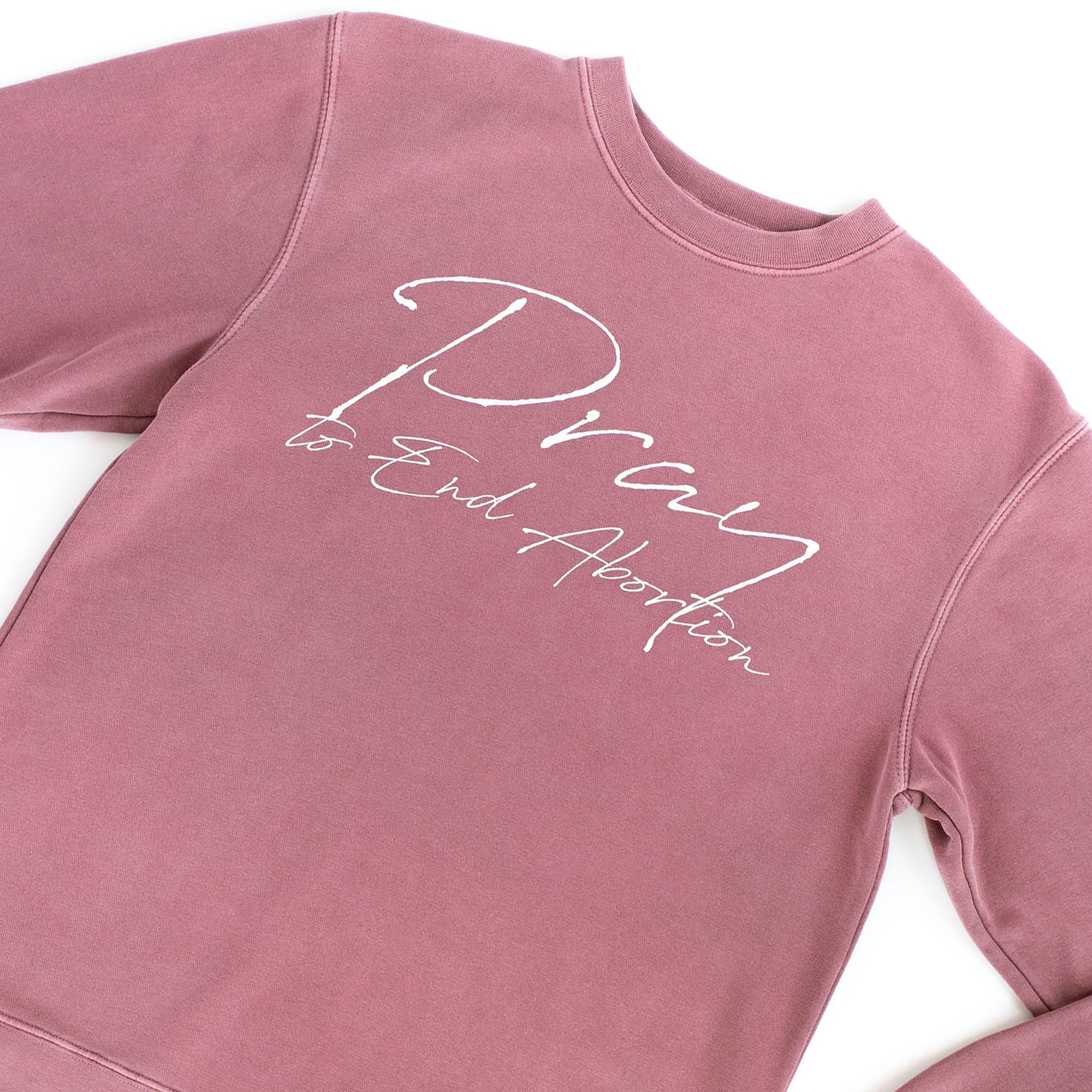 Pray to End Abortion Vintage Sweatshirt