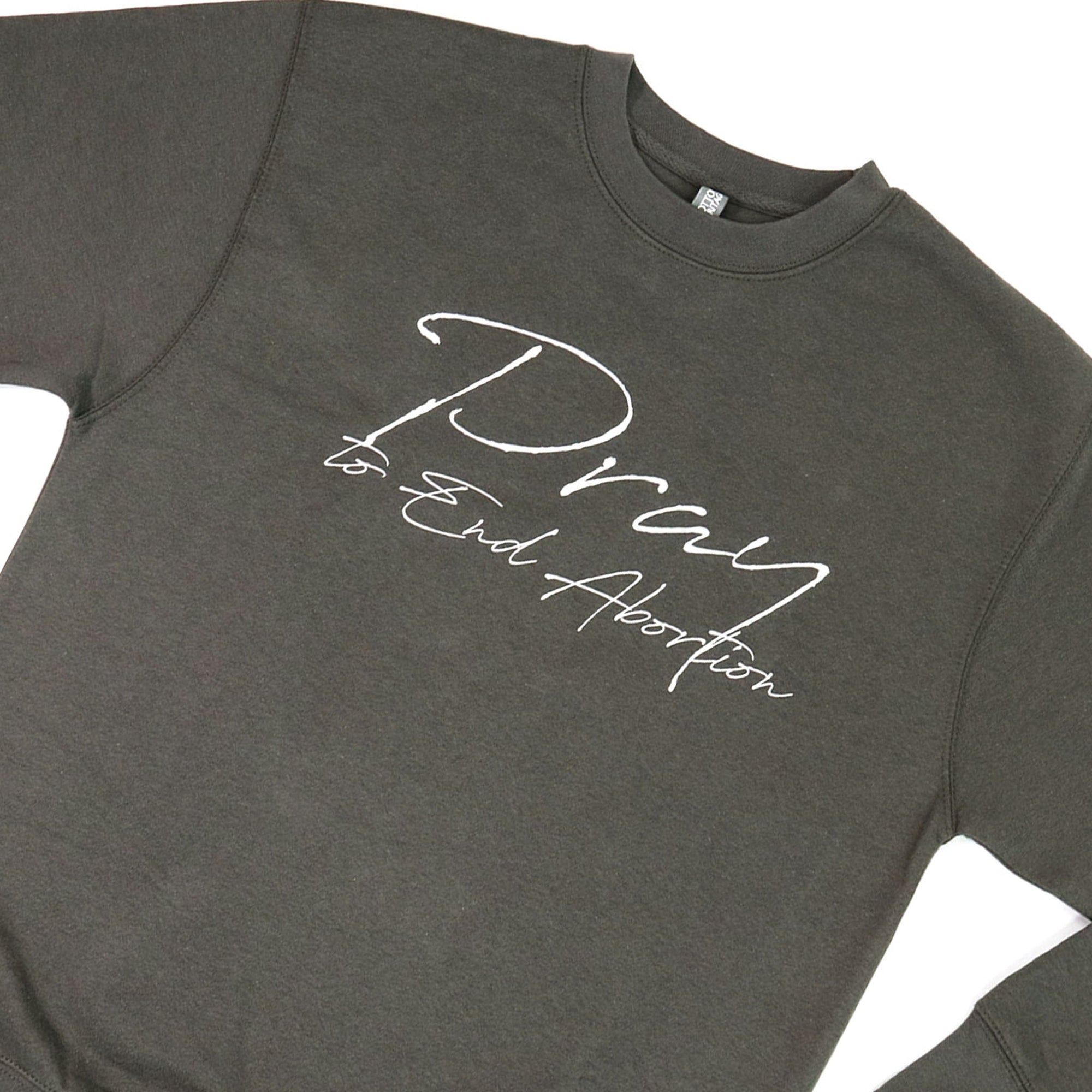 Pray to End Abortion Premium Sweatshirt