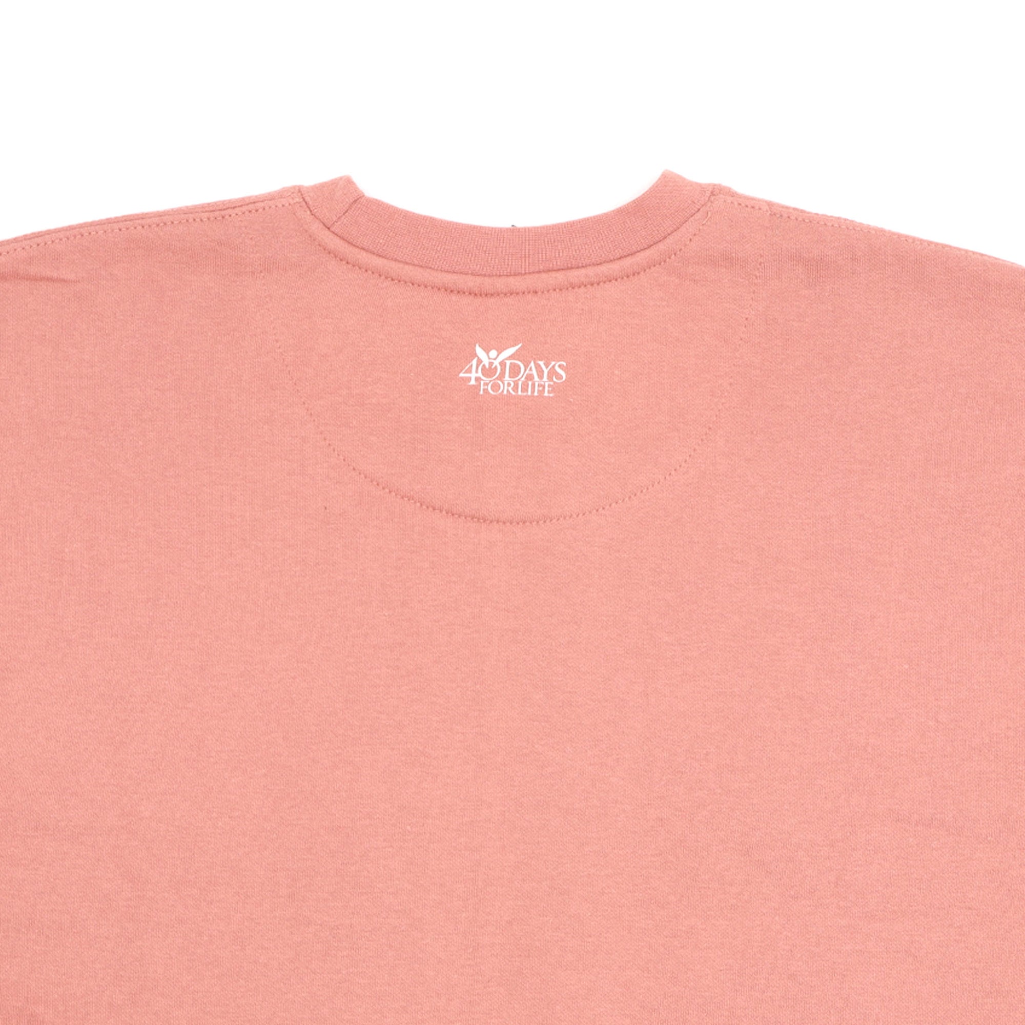 Pray to End Abortion Premium Sweatshirt