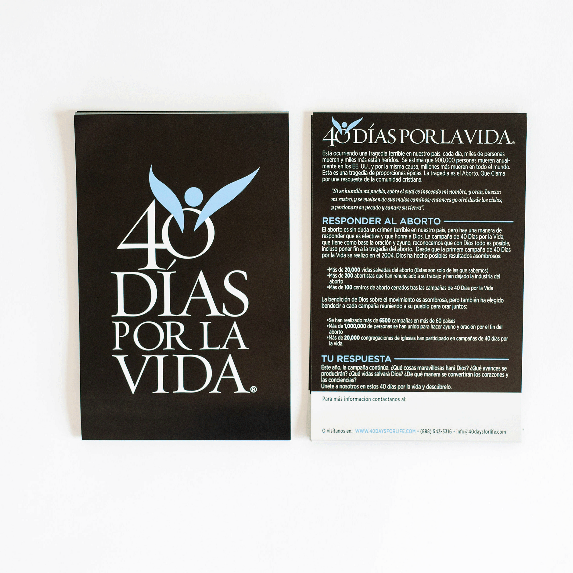 Promotional Flyers (Pack of 100)