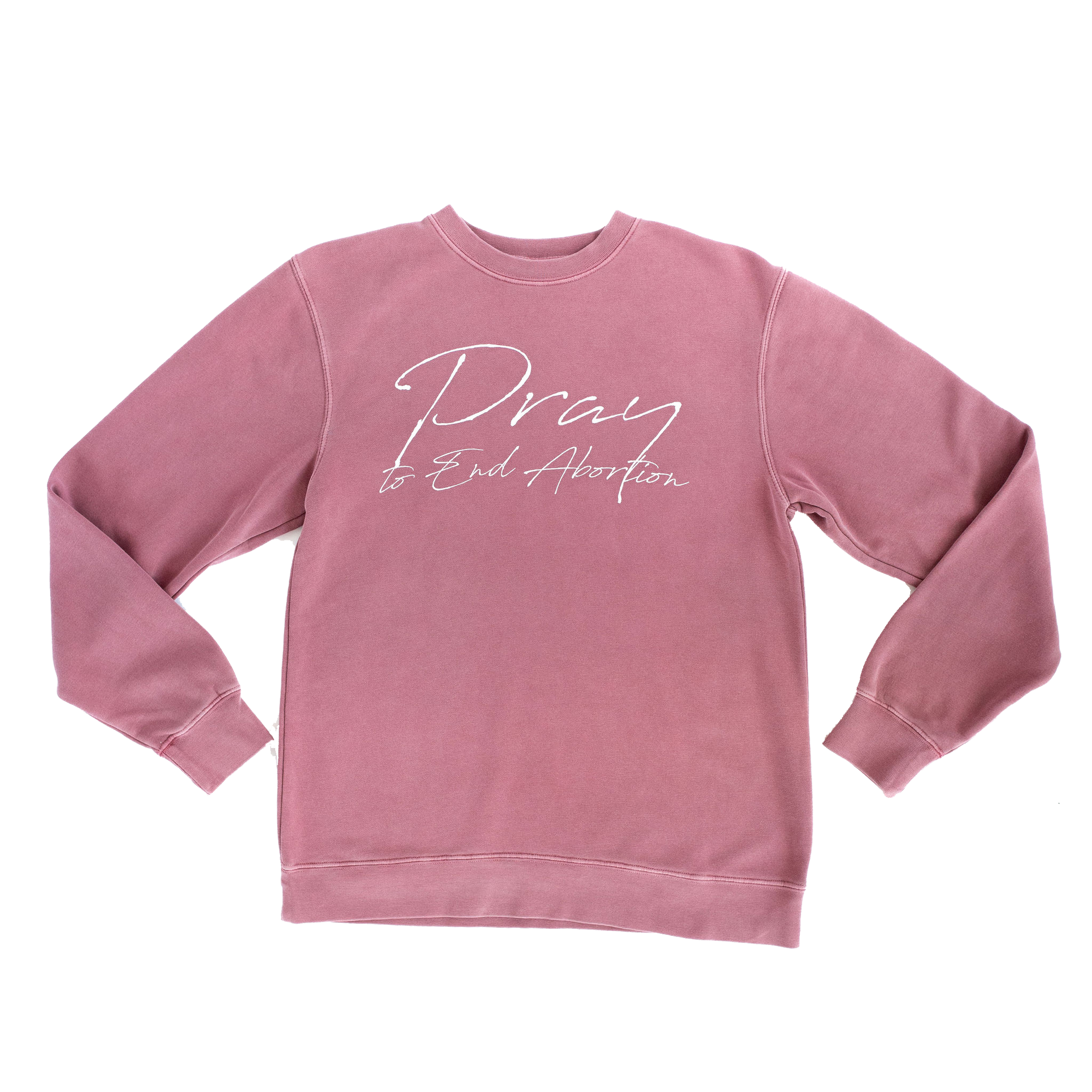 Pray to End Abortion Vintage Sweatshirt