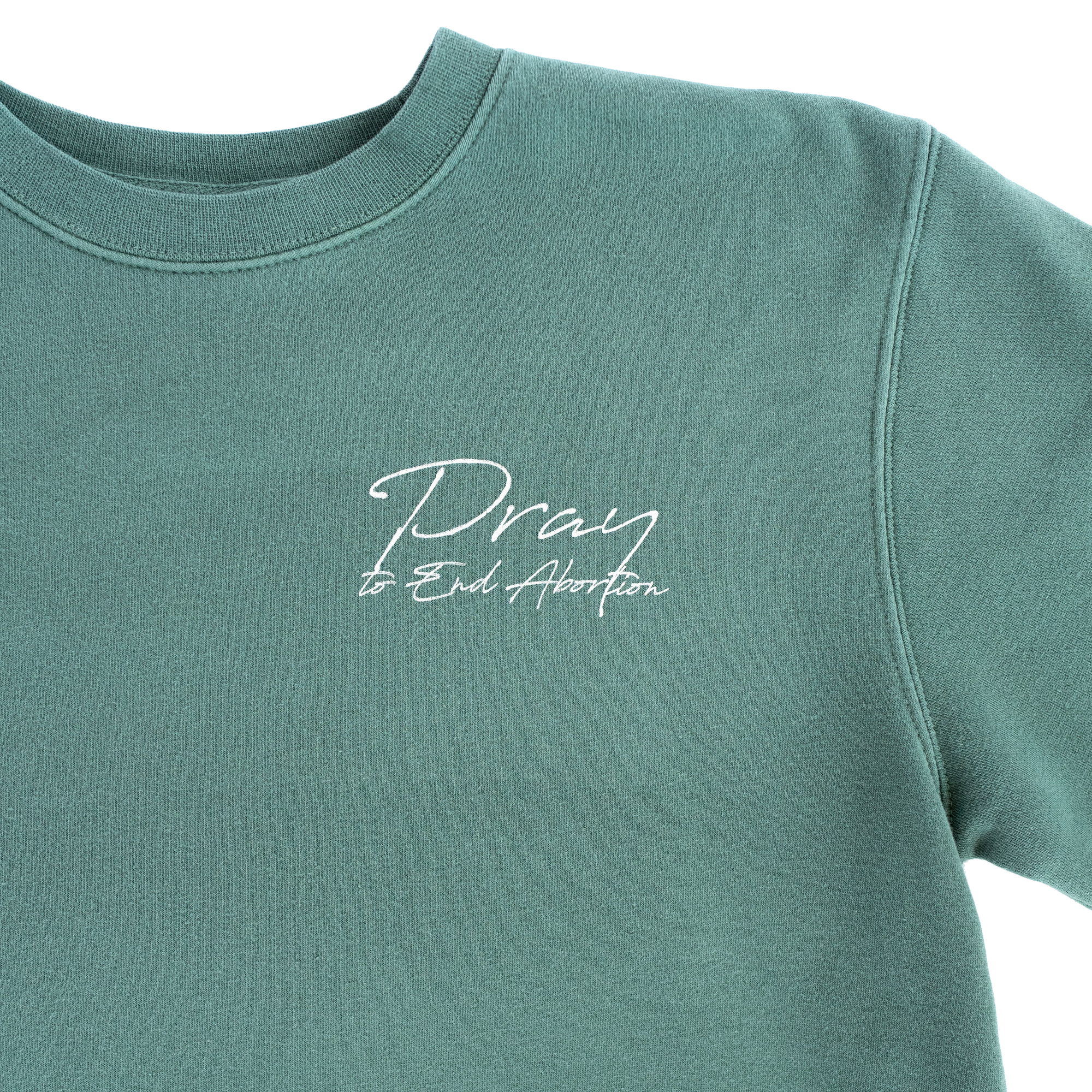 Pray to End Abortion Vintage Sweatshirt