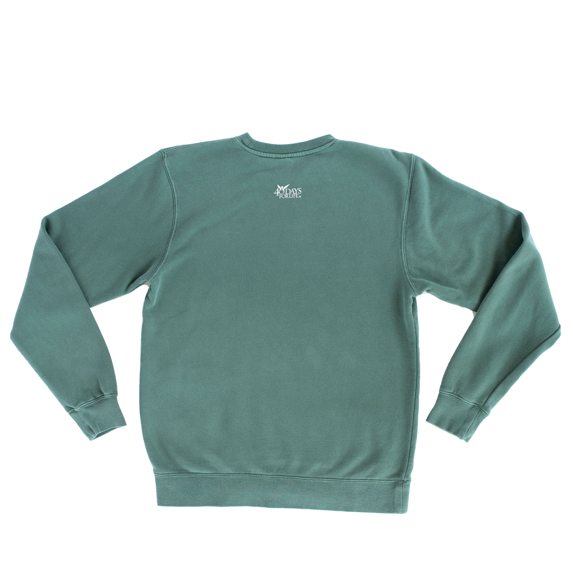 Pray to End Abortion Vintage Sweatshirt