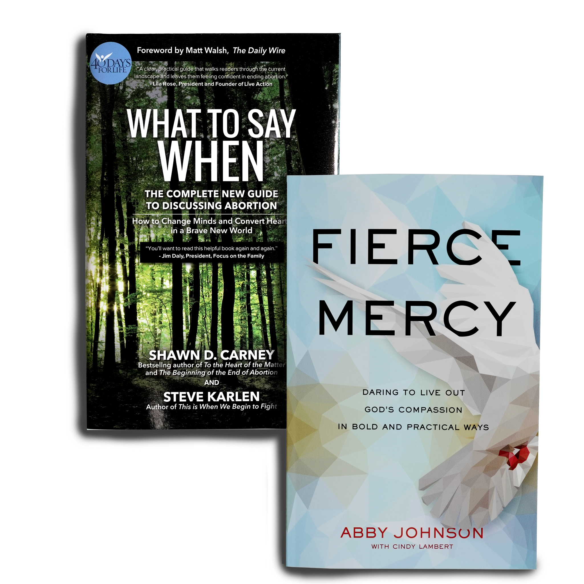 Bundle: Fierce Mercy - What to Say When