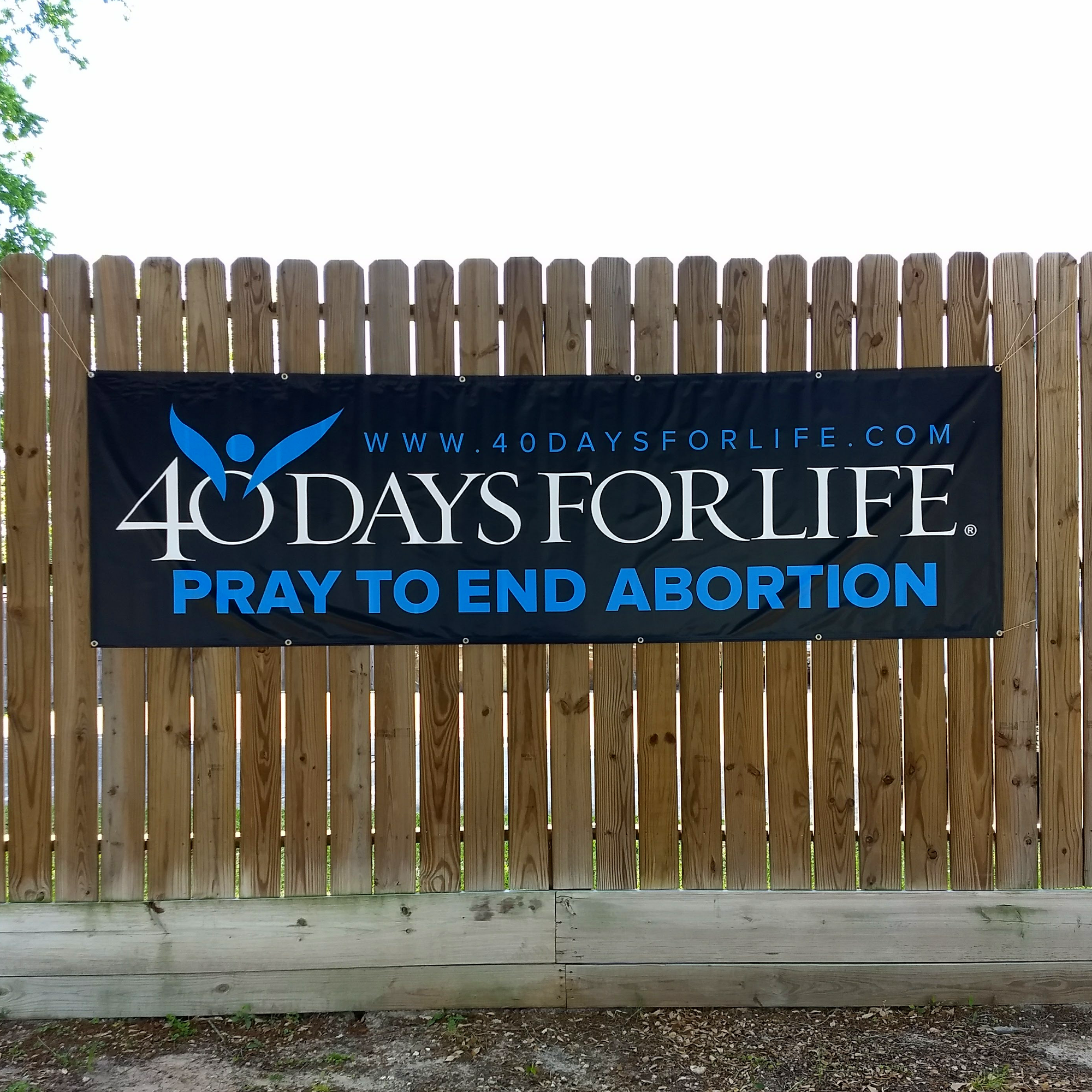 3' x 10' Banner (9915804363)