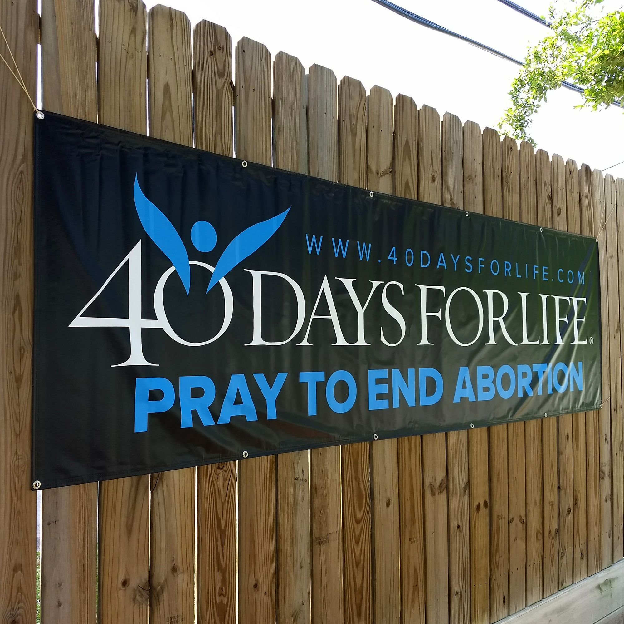 3' x 10' Banner (9915804363)