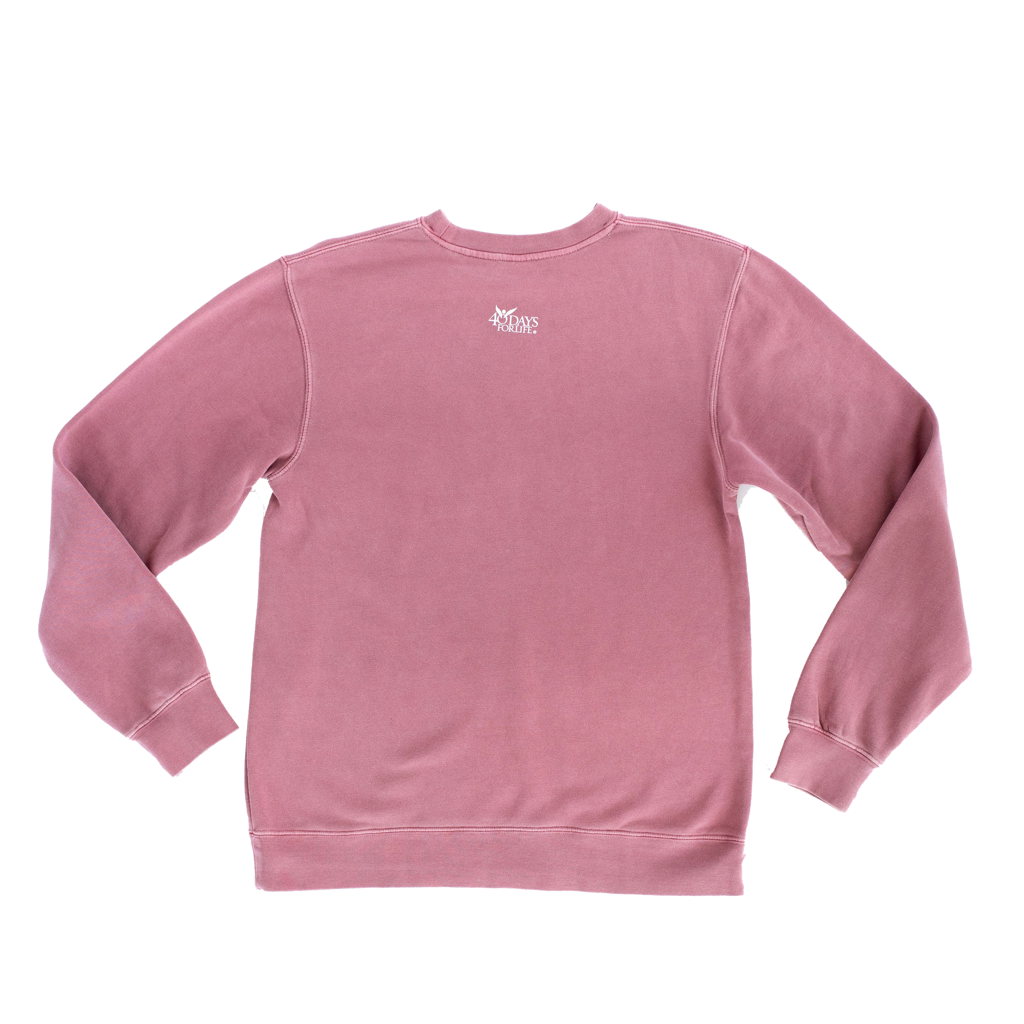 Pray to End Abortion Vintage Sweatshirt