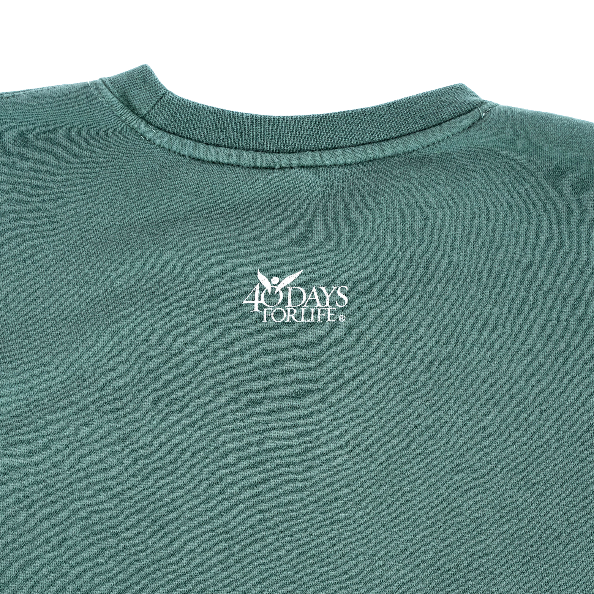 Pray to End Abortion Vintage Sweatshirt