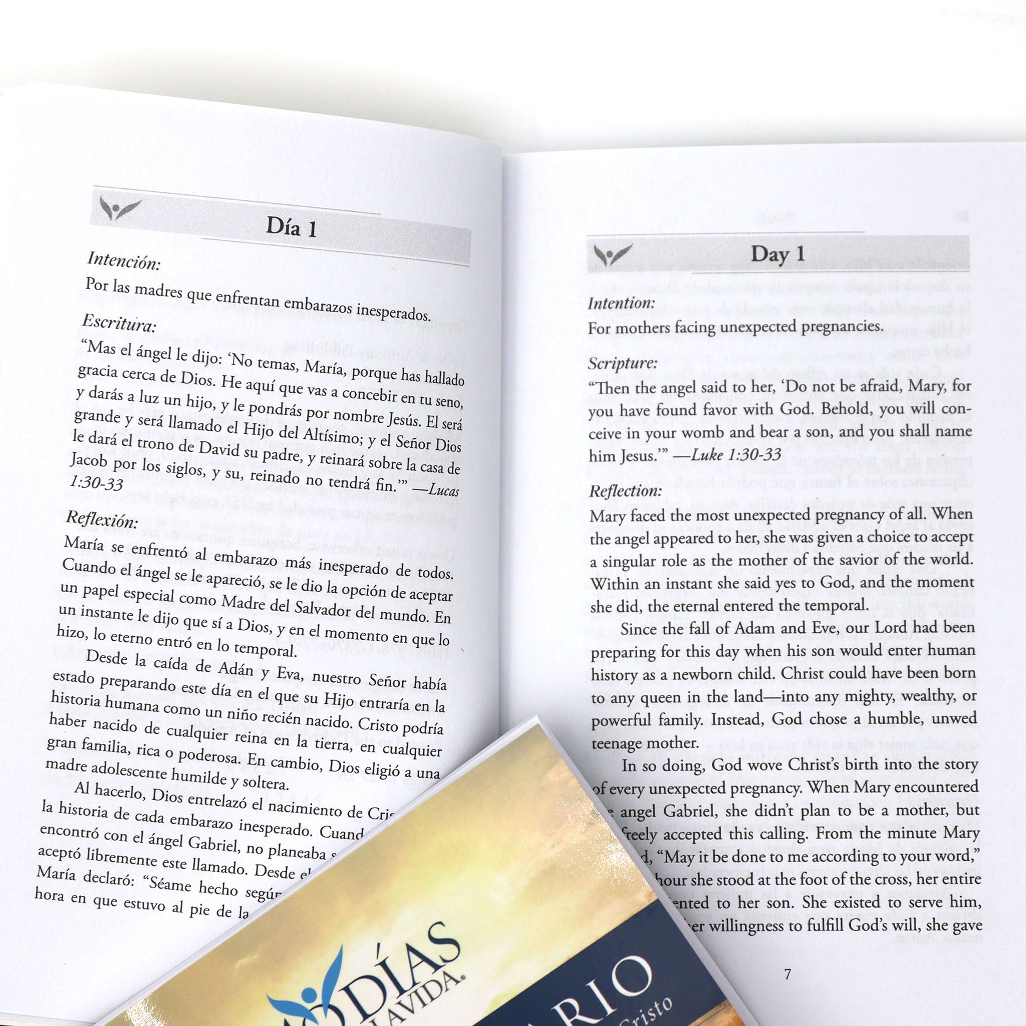 Bilingual Devotional (Spanish/ English): Un Viaje de 40 Días a Través de la Vida de Cristo