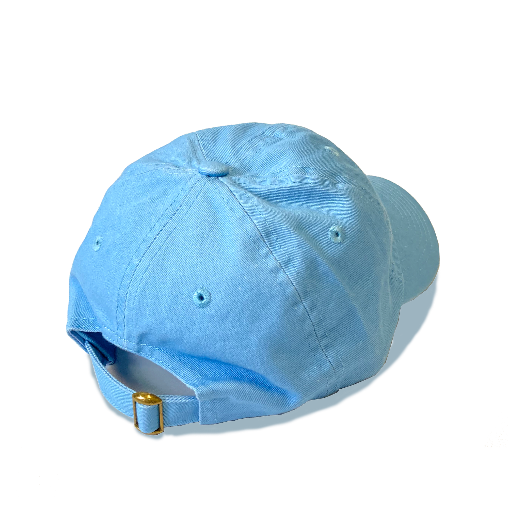 Blue Baseball Hat - 40 Days for Life