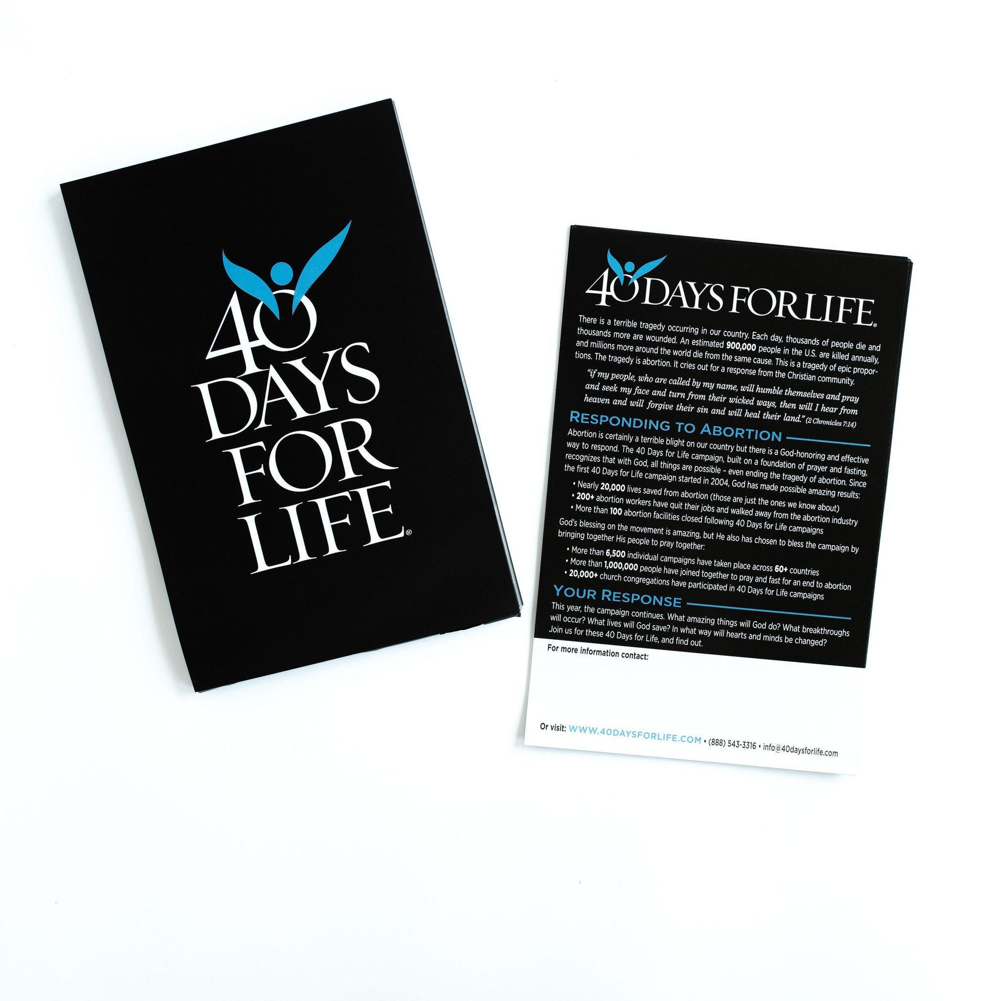 Promotional Flyers (Pack of 100)