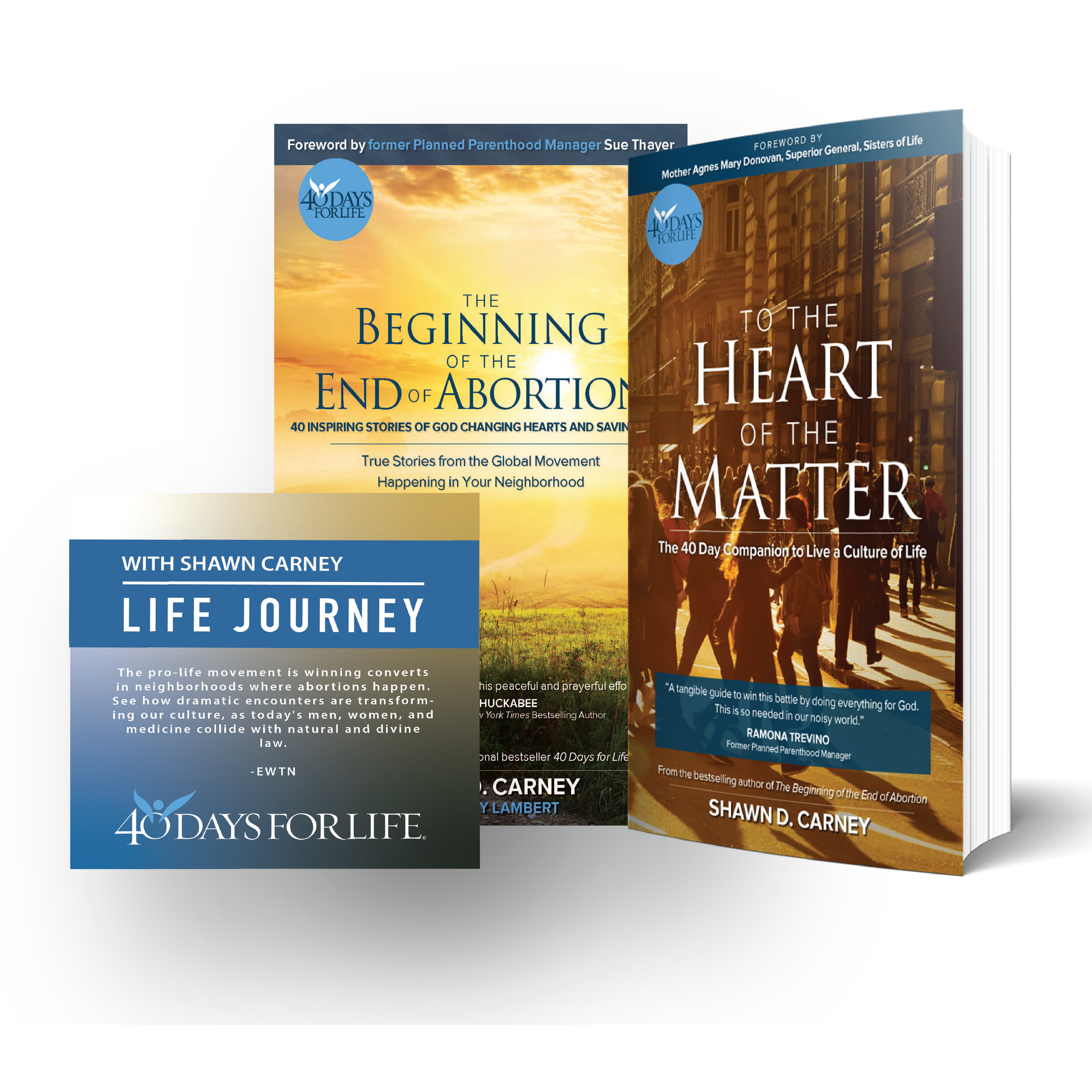Life Journey DVD - To the Heart of the Matter - The Beginning of the End of Abortion (4578948087894)