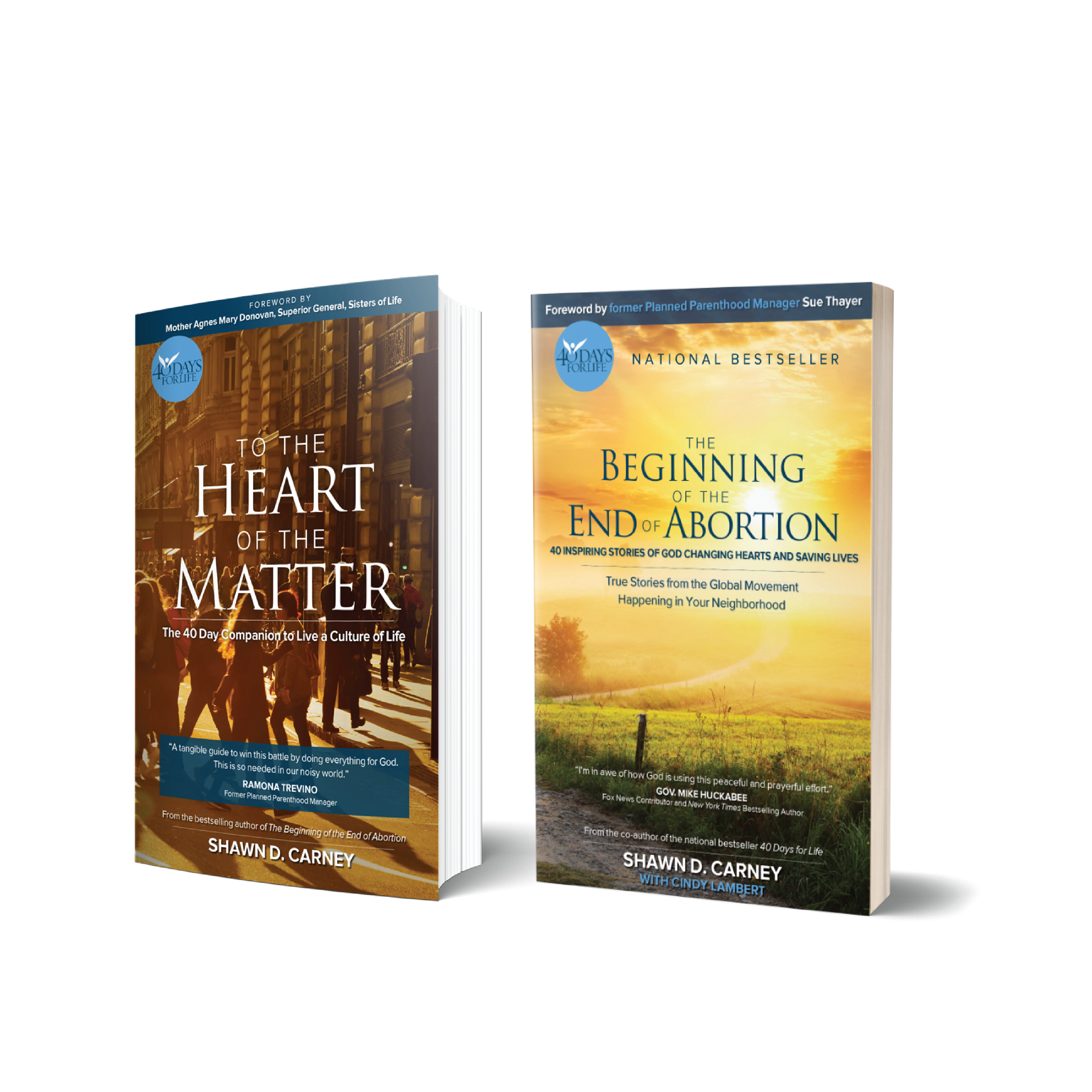 Bundle: Beginning of the End - Heart of the Matter (4400542285910)
